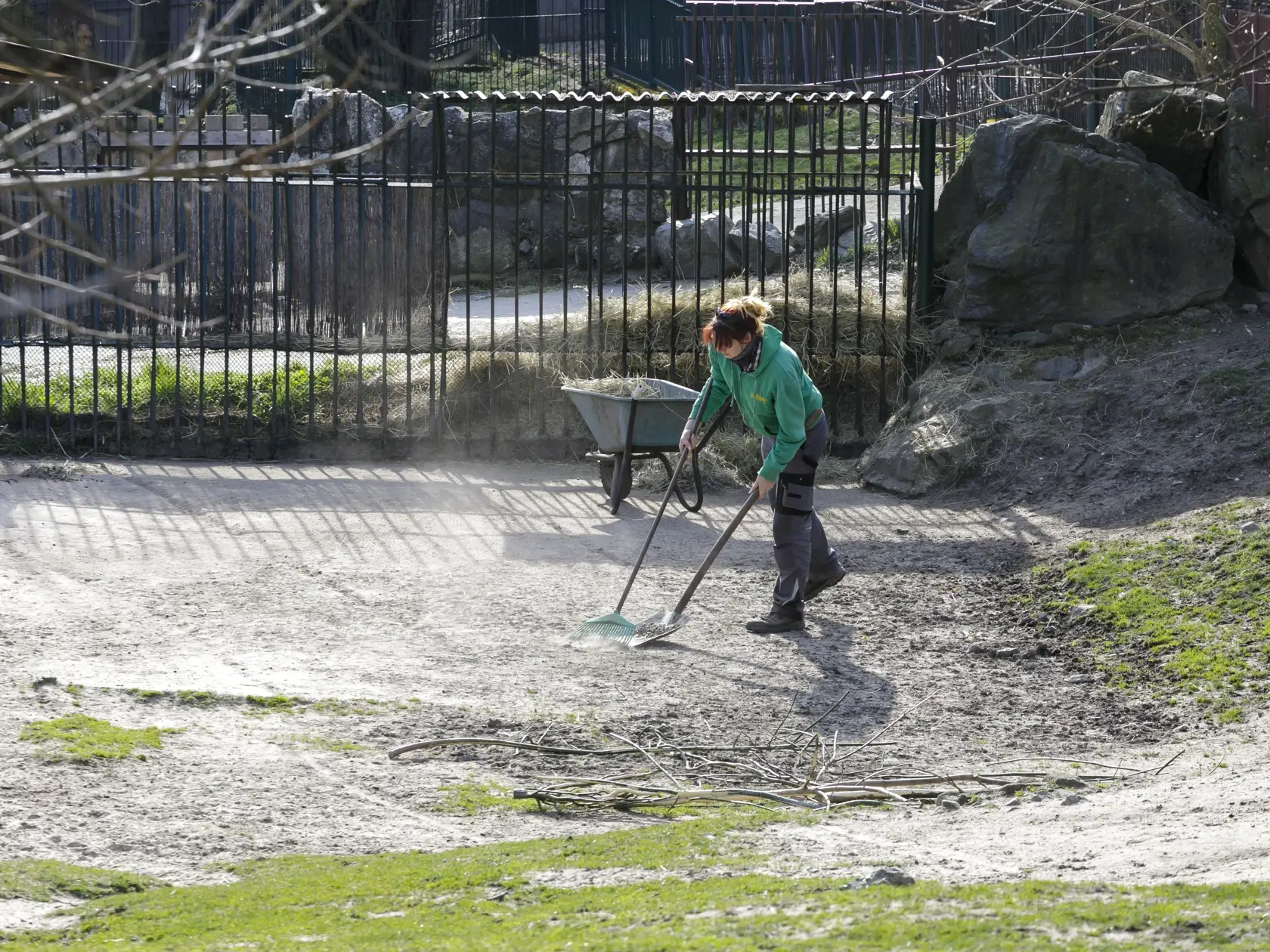 Na snímke chovateľka upravuje výbeh pre oryxov arabských v bratislavskej ZOO, ktorá je od 9. marca uzatvorená pre verejnosť až do odvolania pre šíriaci sa koronavírus. V Bratislave 19. marca 2020. FOTO TASR - Dano Veselský