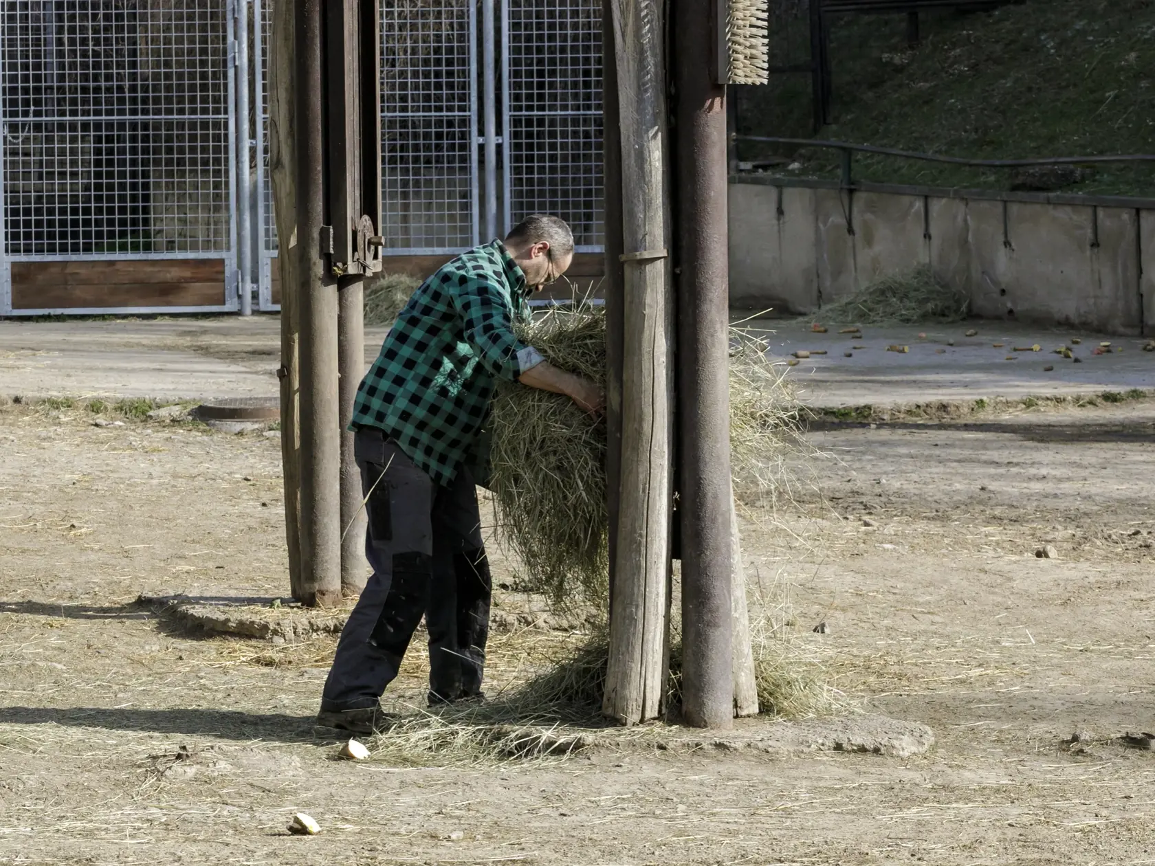 Na snímke chovateľ upravuje výbeh pre žirafy Rothschildove a zebry Chapmanove v bratislavskej ZOO, ktorá je od 9. marca uzatvorená pre verejnosť až do odvolania pre šíriaci sa koronavírus. V Bratislave 19. marca 2020. FOTO TASR - Dano Veselský