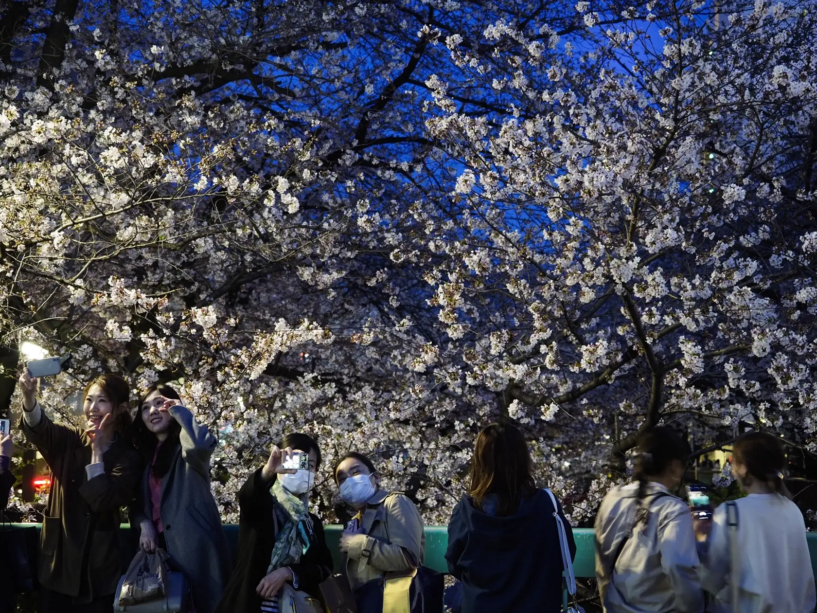 MIK 18 Tokio - Ľudia si robia fotografie s rozkvitnutými čerešňami v Tokiu 26. marca 2020. Japonská ekonomika je v dôsledku šírenia sa nového koronavírusu v ťažkej situácii, pričom tá sa v najbližšom období nezlepší. Uviedla to v najnovšej správe o vývoji ekonomiky japonská vláda, ktorá zároveň zverejnila najhorší odhad vývoja hospodárstva za takmer sedem rokov. FOTO TASR/AP

People take pictures with cherry blossoms Thursday, March 26, 2020, in Tokyo. Tokyo asked its residents to stay home this