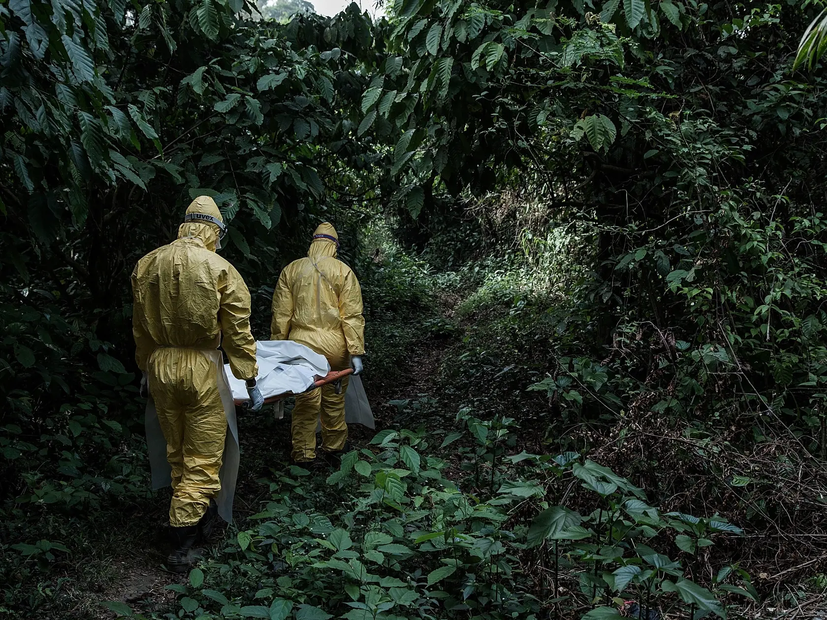 V Sierra Leone na západe Afriky bojujú s horúčkou Lassa už dlhé roky.