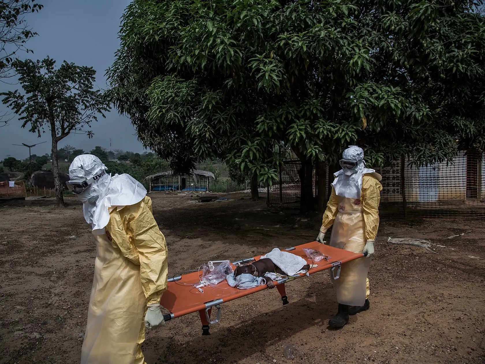 V Sierra Leone na západe Afriky bojujú s horúčkou Lassa už dlhé roky.