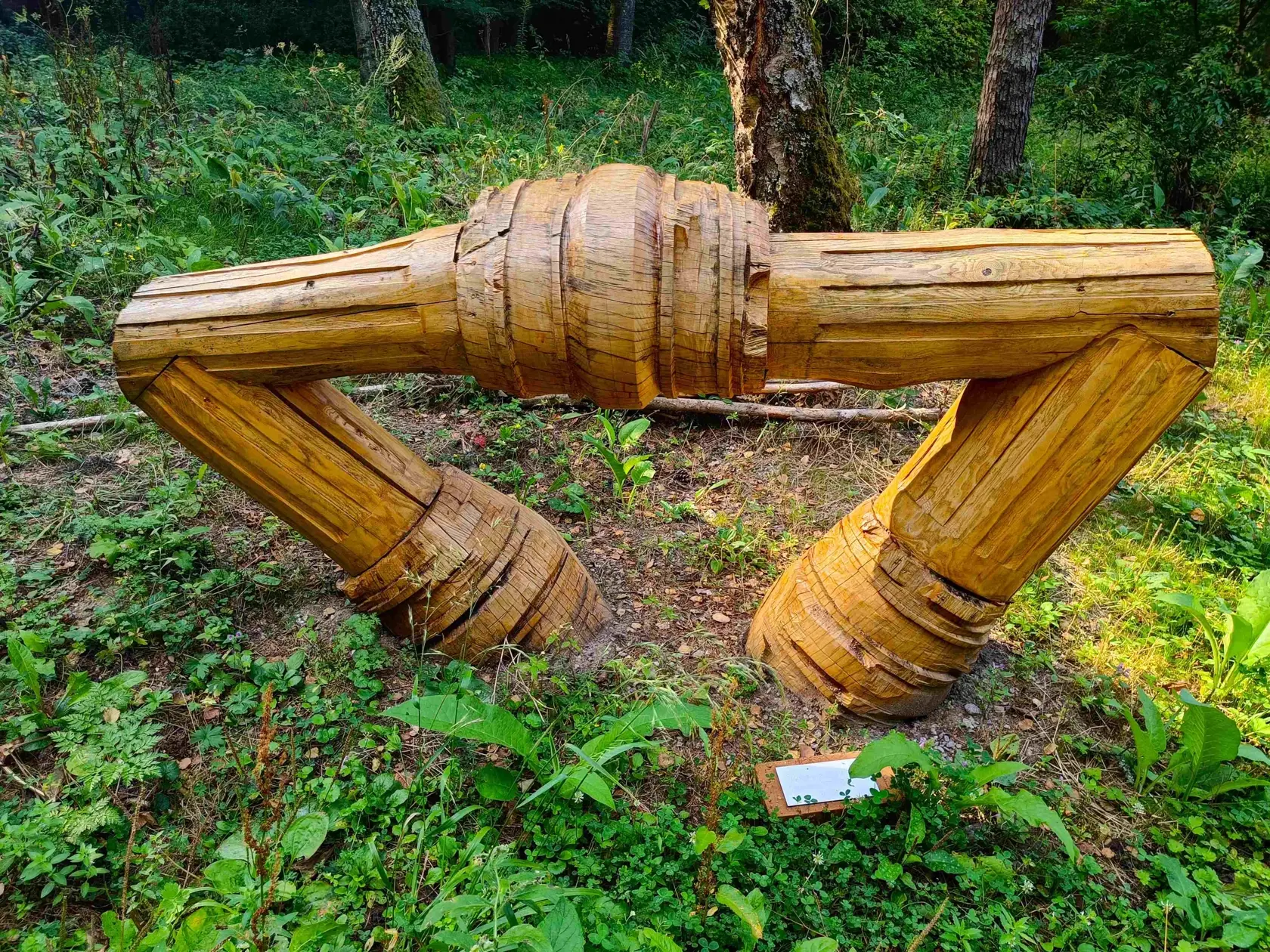 Umelci počas 10 dňového pobytu v nádhernom priestore banskoštiavnického Arboréta Kysihýbel vytvoria obrazy a sochy na vopred stanovenú tému, ktoré putujú na vernisáž a výstavu do Galérie Jula Bindera v Banskej Štiavnici.