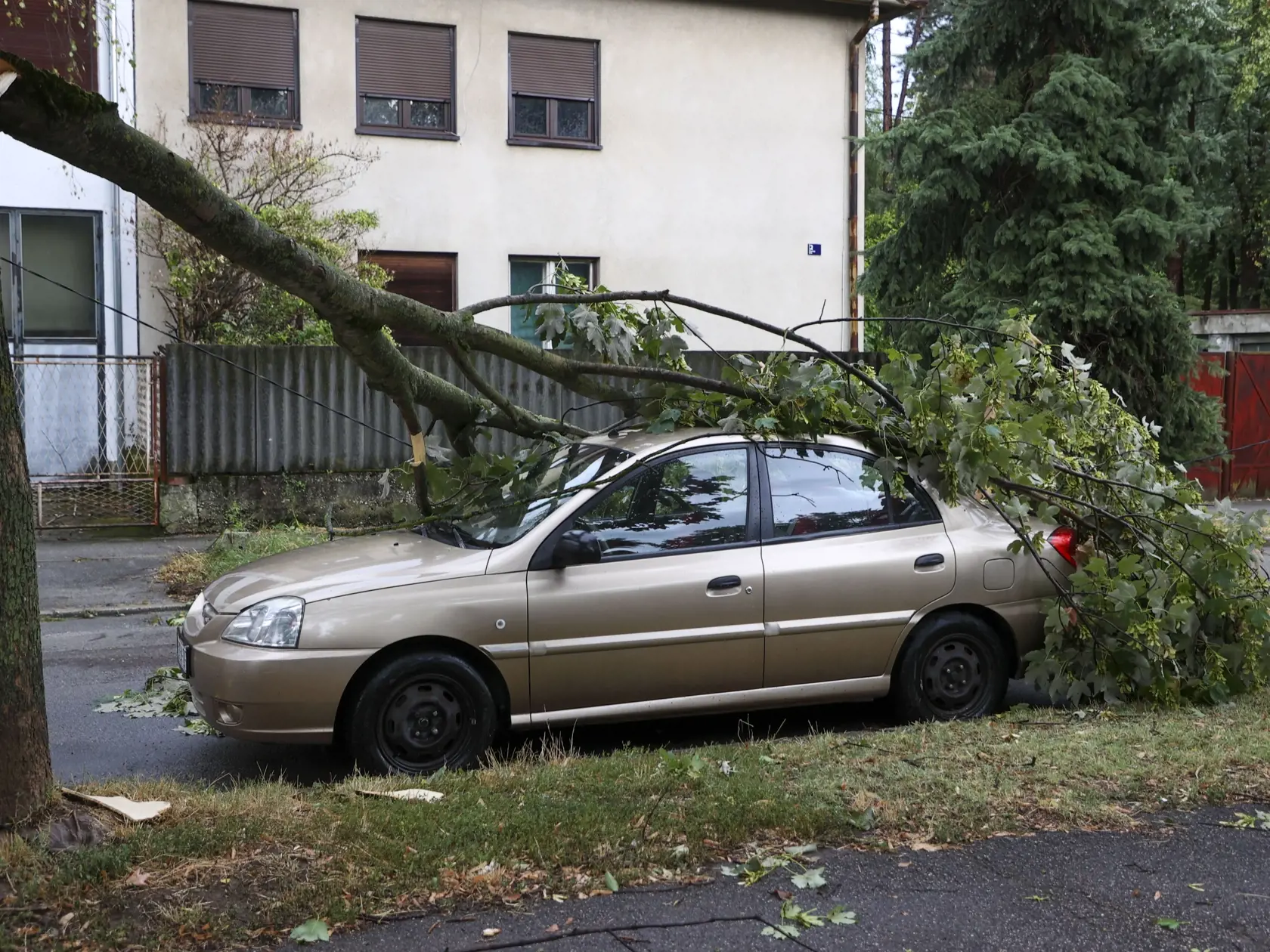 Zlomený konár stromu spadol na zaparkované auto počas silnej búrky v Záhrebe v stredu 19. júla 2023. Chorvátsko a Slovinsko zasiahla v stredu silná búrka sprevádzaná prudkým vetrom a dažďom. O život prišli najmenej traja ľudia a niekoľko ďalších osôb utrpelo zranenia.