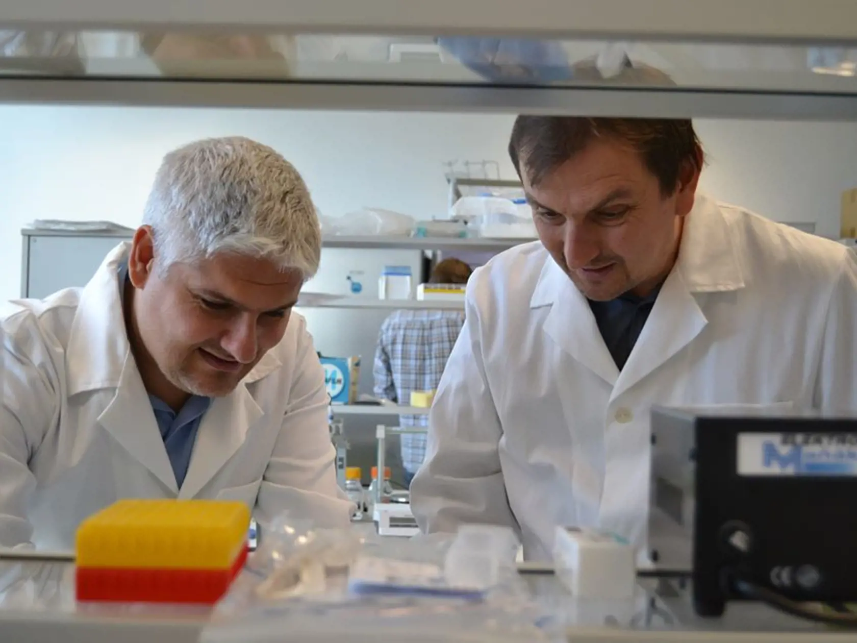 V laboratóriu.