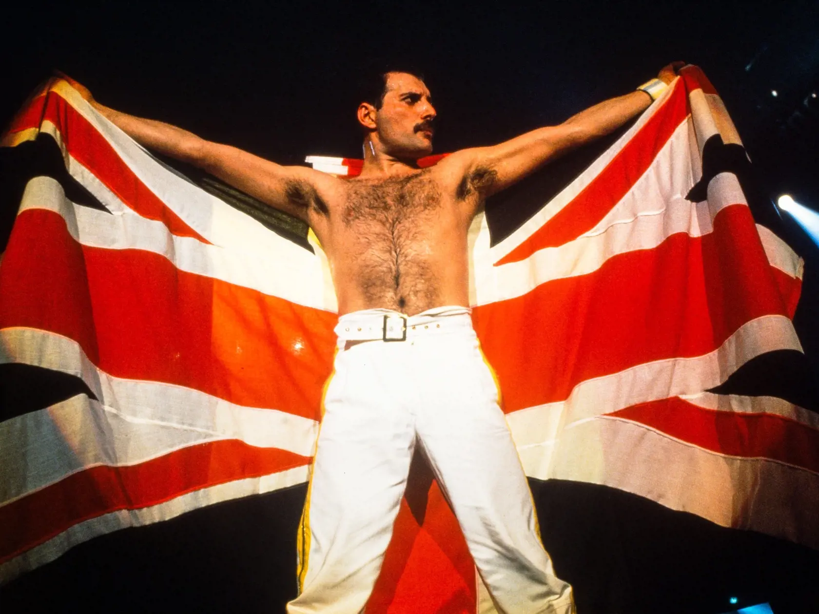 Freddie Mercury