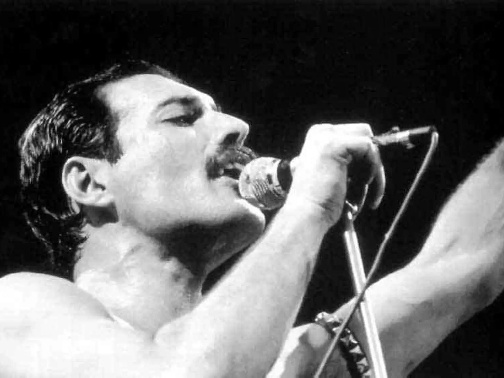 Freddie Mercury.