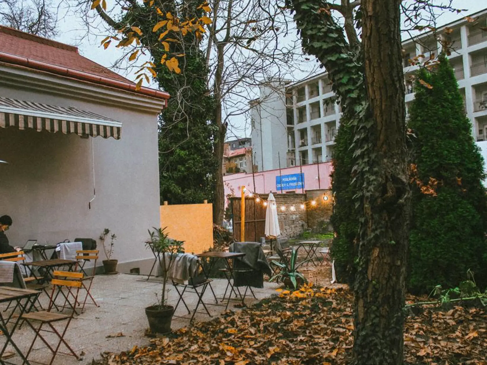 Majiteľka bratislavskej kaviarne Mad drop Martina Jandíková musela spolu s manželom Jakubom dať svoju kaviareň na Radlinského ulici v Bratislave kvôli pandémii do krachu.