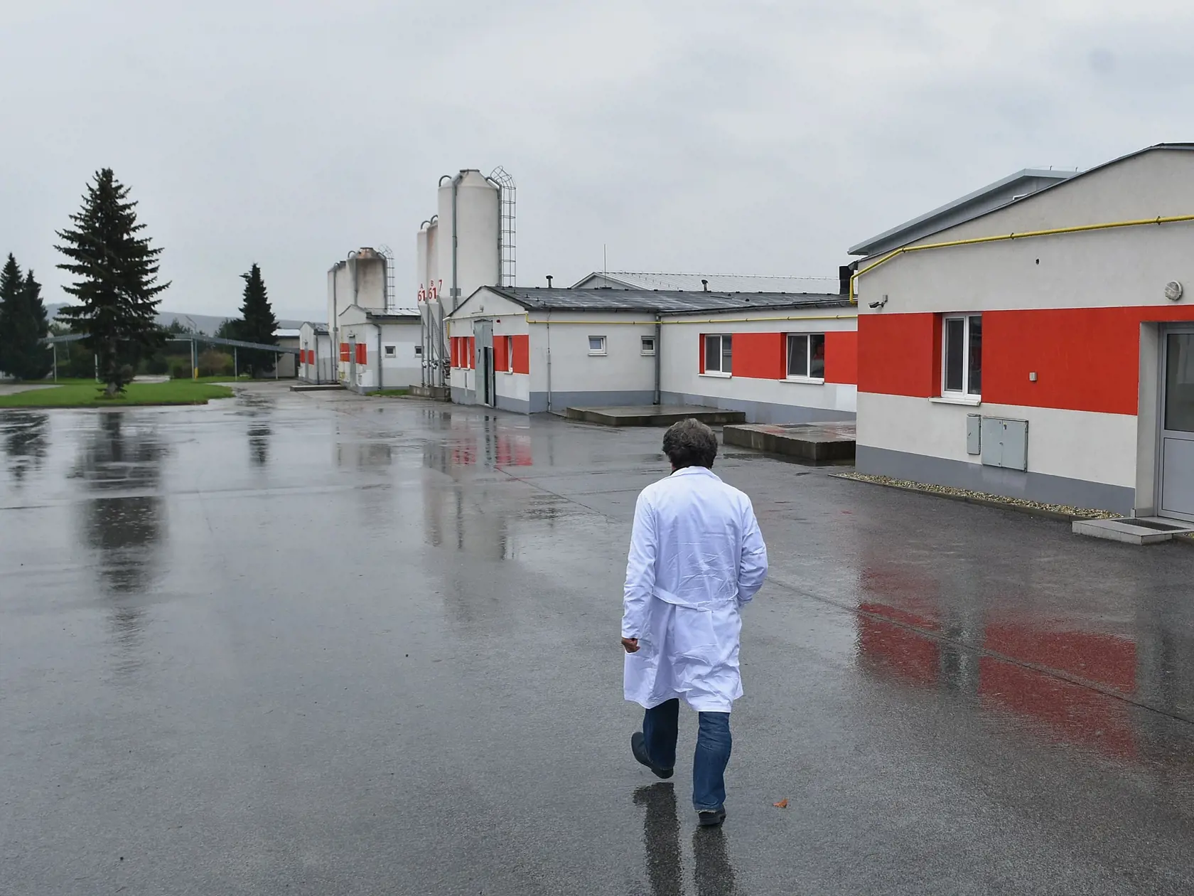 V tomto roku už dva zahraničné obchodné reťazce oznámili chovateľom nosníc v SR, že prestanú predávať slovenské vajcia z klietkových chovov nosníc veľkosti L.