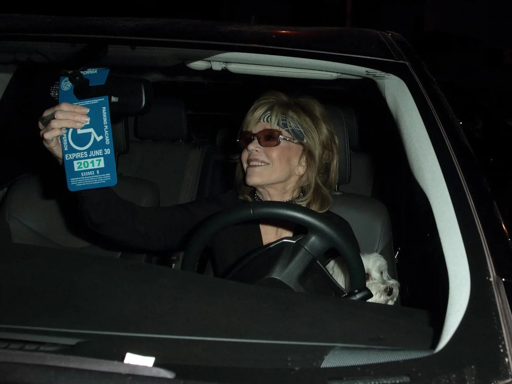 Herečka Jane Fonda