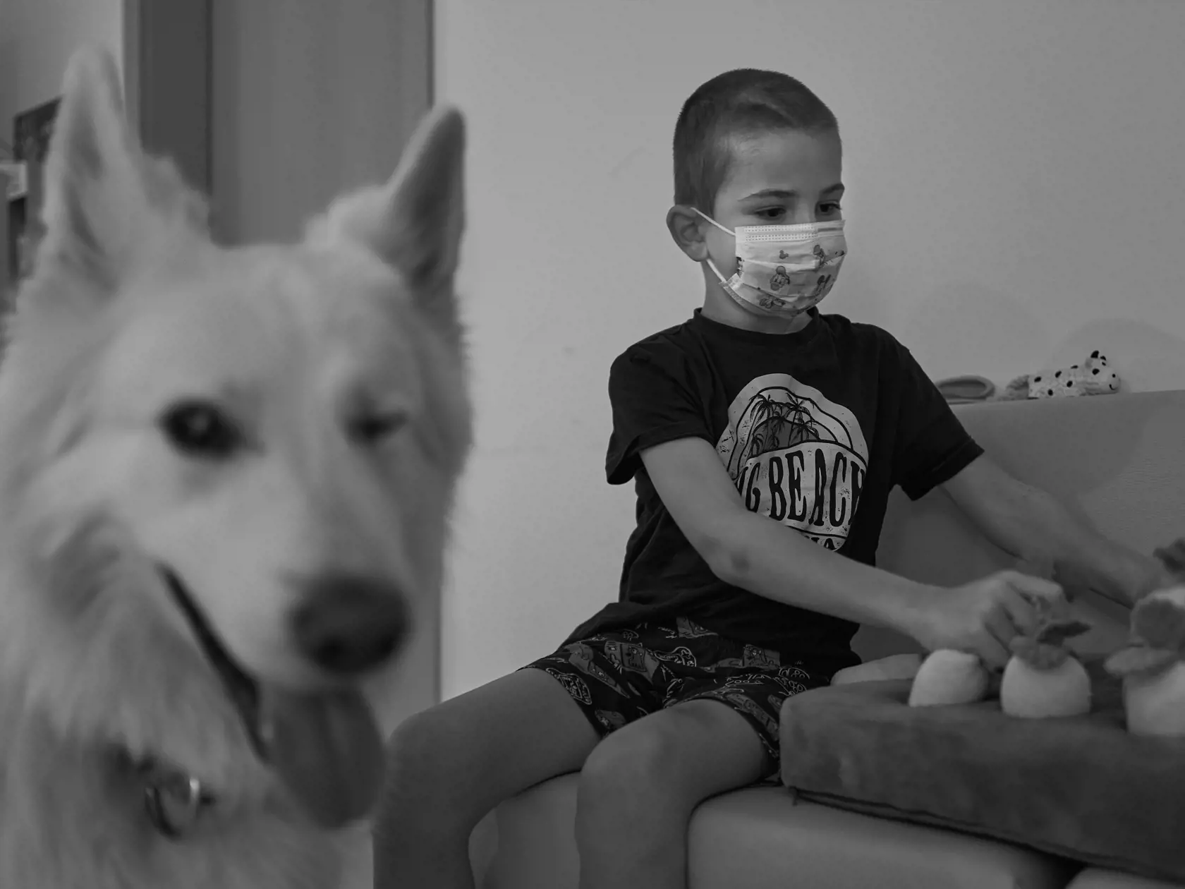 Deťom na onkológii v Banskej Bystrici pomáhajú aj kanisterapeutické psy. Na fotografii je syn herca Jána Dobríka, Timko, ktorý bojuje s leukémiou.