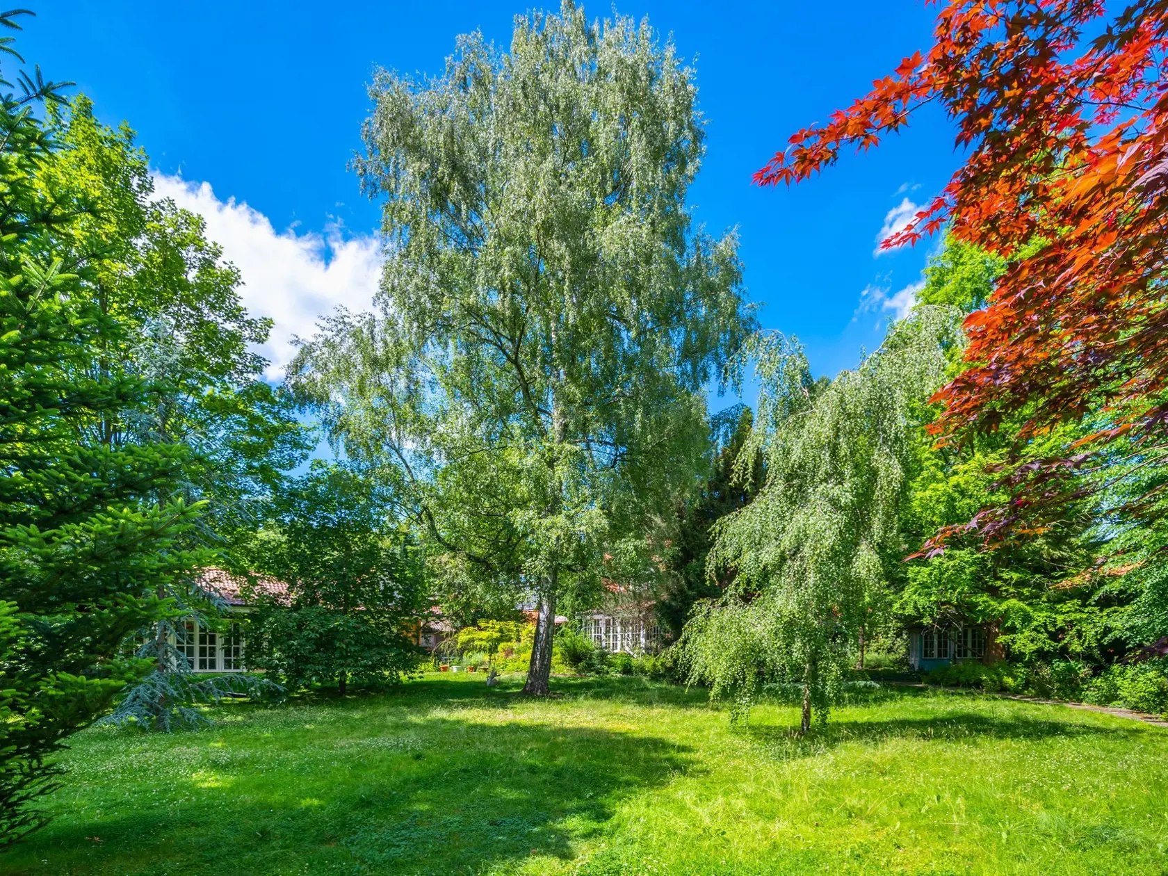 Výber stromov majitelia zrejme nechali na záhradného architekta.