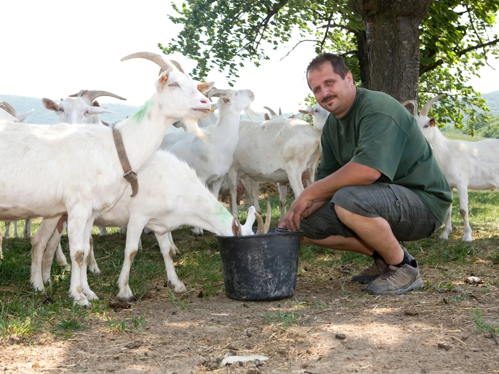 Farmar Martin BAGAR