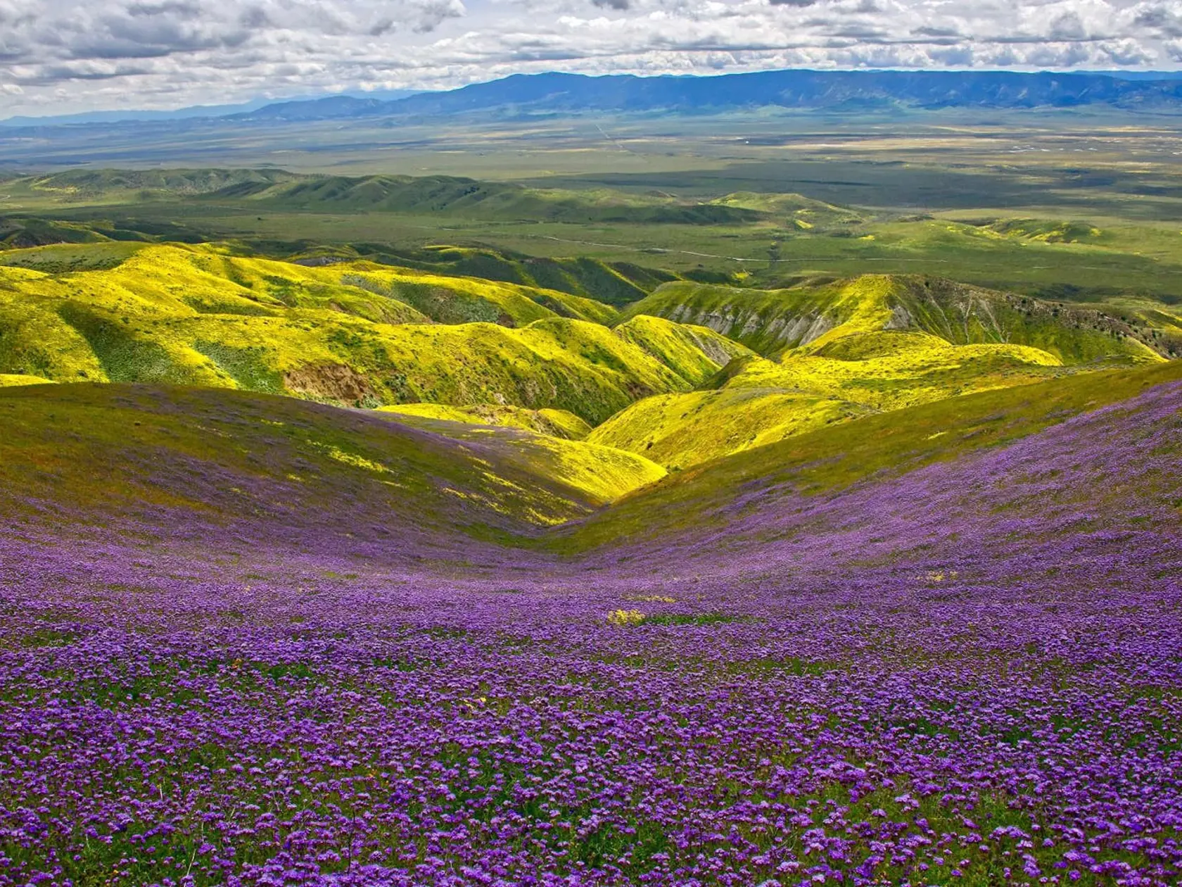 Planina Carrizo, Kalifornia, USA.