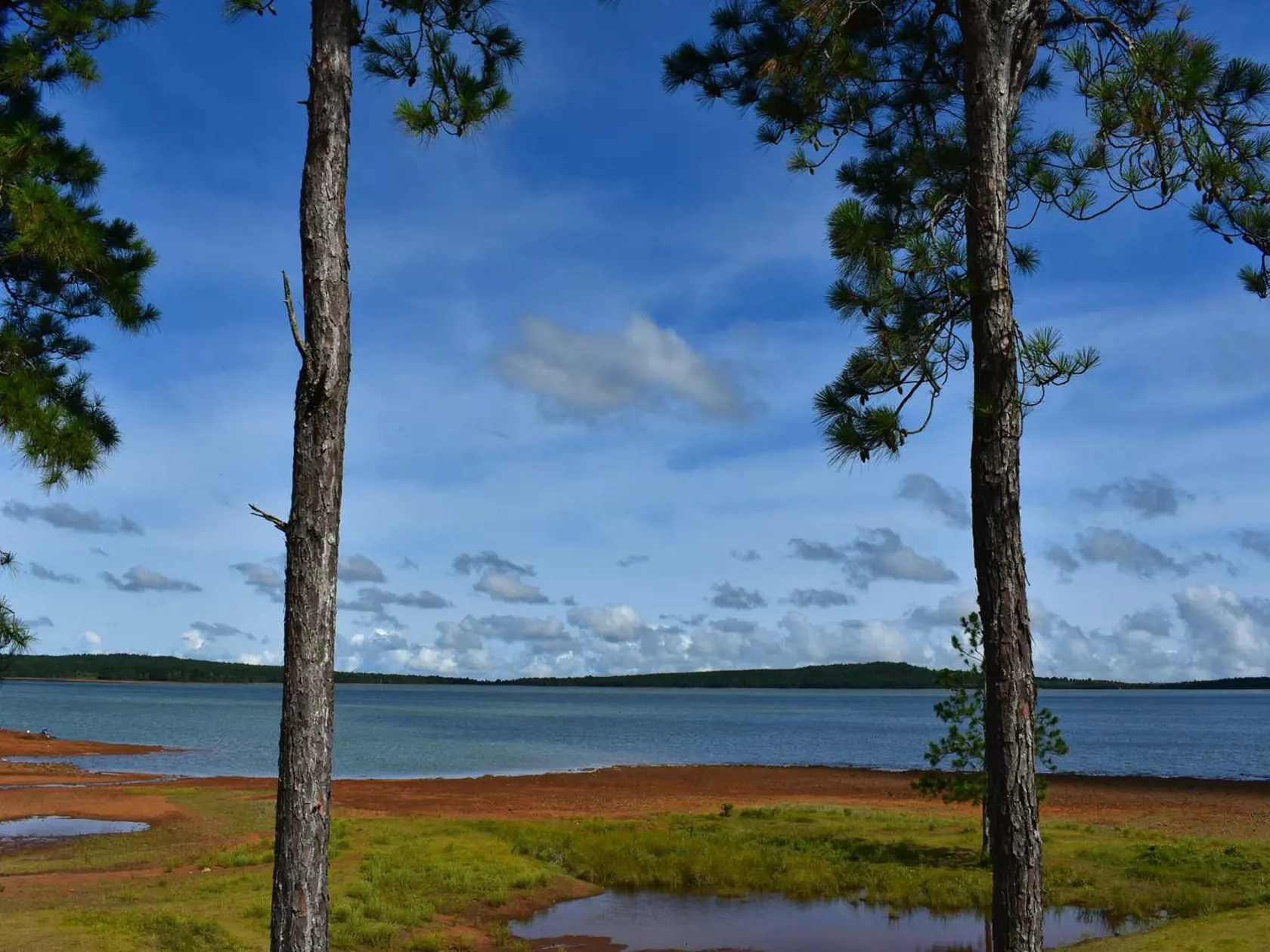 Mare aux Vacoas, Maurícius.