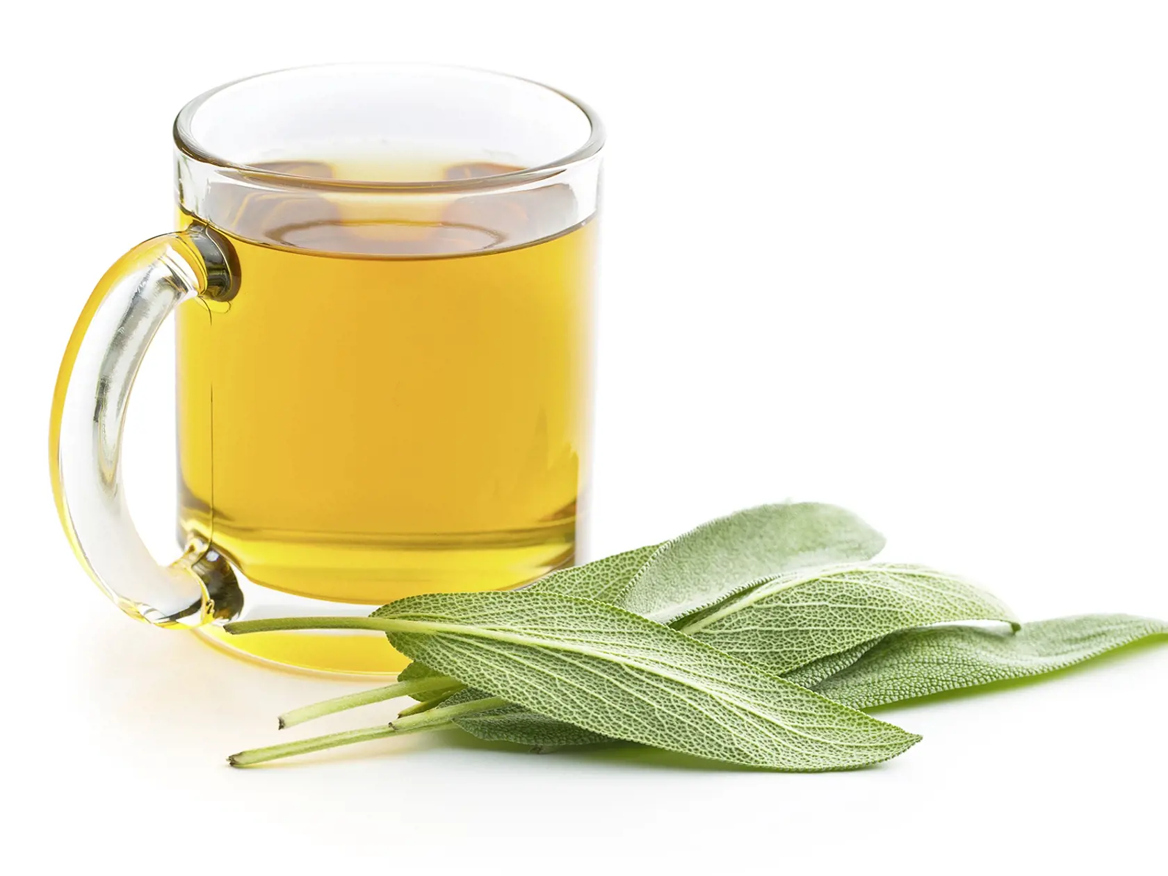 Sage tea and sage leaves. Infusion made from sage leaves. Medicinal  herb Salvia officinalis.