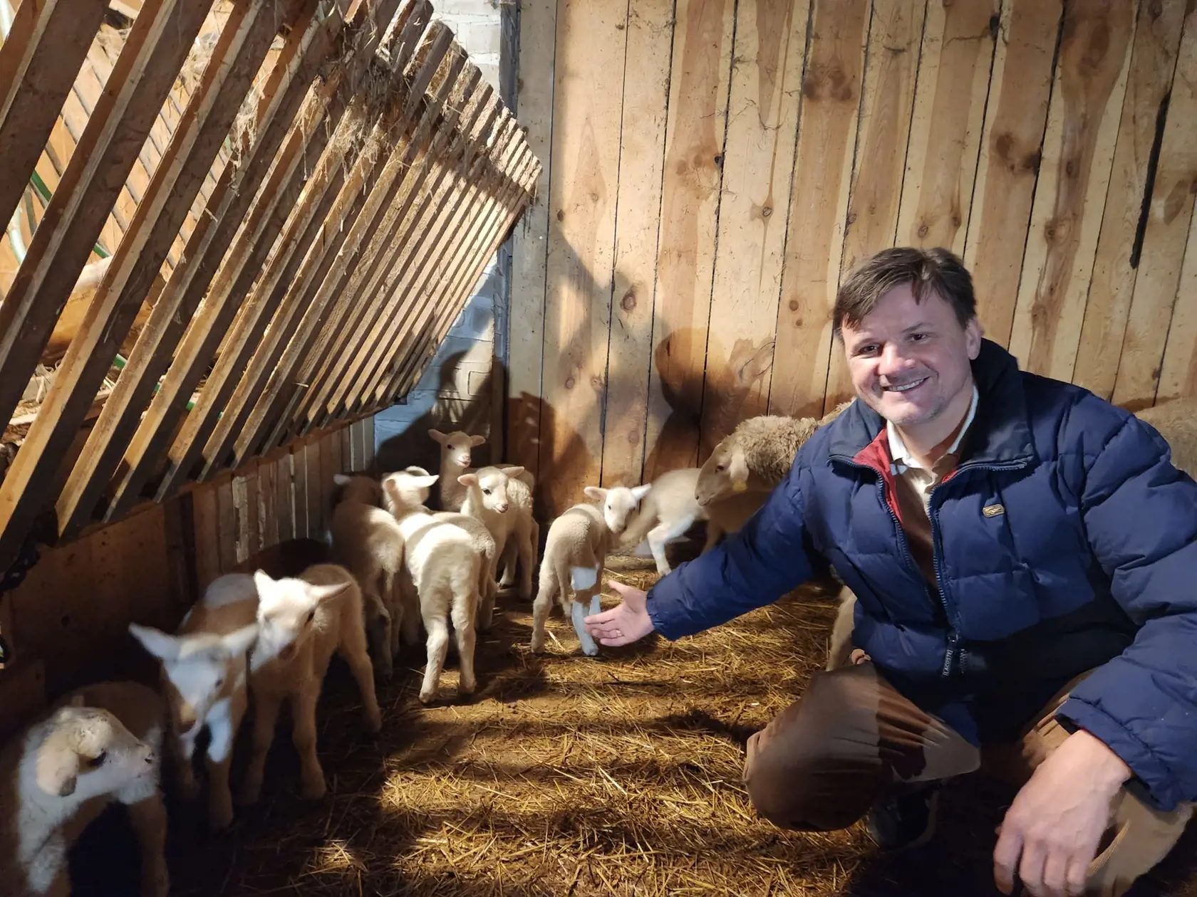 Alojz Hlina má na svojej biofarme neďaleko Bratislavy aj kravy, zjavne ho starostlivosť o hospodárske zvieratá teší.