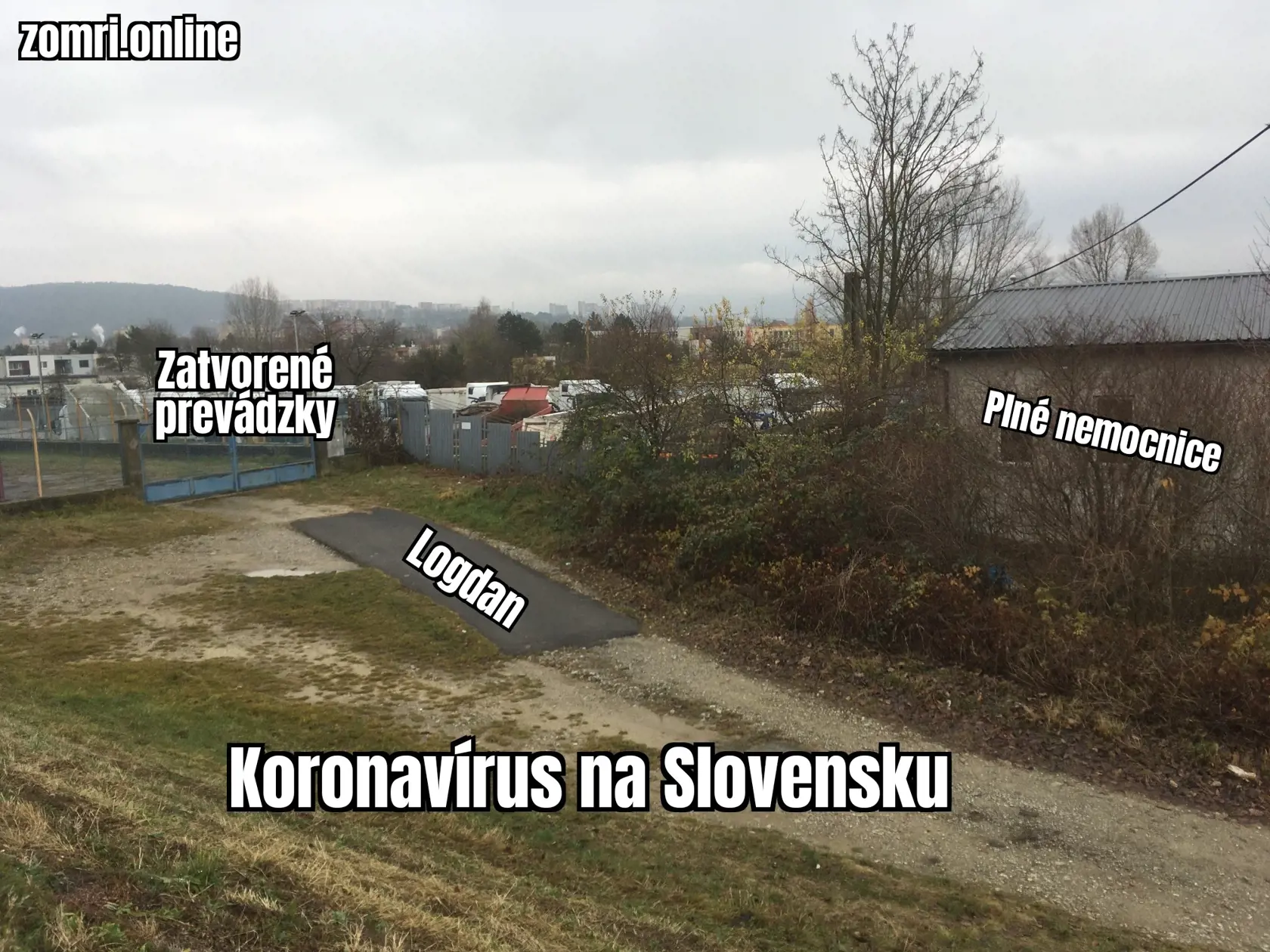 Logdan...