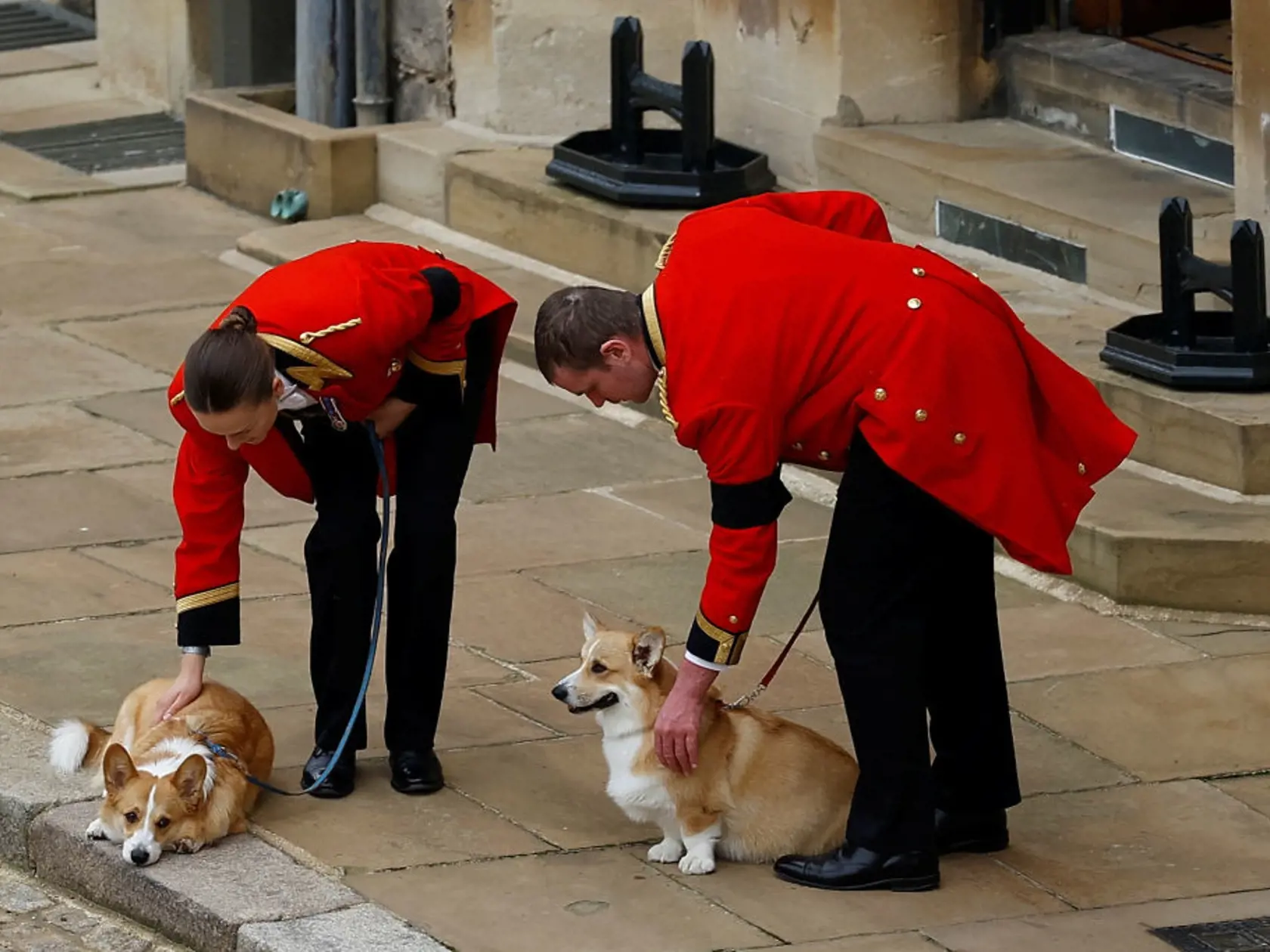 Na snímke psi plemena corgi Muick a Sandy čakajú na rakvu s pozostatkami zosnulej britskej kráľovnej Alžbety II. v pondelok 19. septembra 2022 na hrade Windsor.  Muick a Sandy sú poslední psi z radu viac ako 30 corgiov, ktoré kráľovná za života vlastnila. Obrad rozžehnania sa s telom kráľovnej Alžbety II. sa uskutočnil vo windsorskej Kaplnke sv. Juraja. Tam panovníčku v rámci súkromného obradu aj pochovali po boku jej manžela princa Philipa.