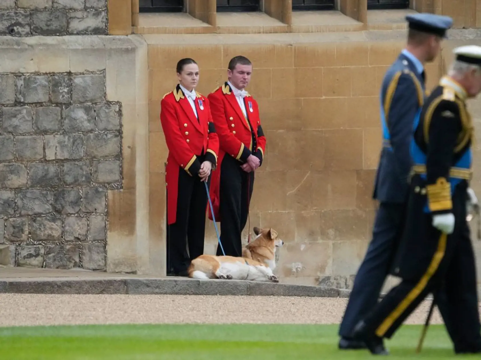 Na snímke psi plemena corgi Muick a Sandy čakajú na rakvu s pozostatkami zosnulej britskej kráľovnej Alžbety II. v pondelok 19. septembra 2022 na hrade Windsor.  Muick a Sandy sú poslední psi z radu viac ako 30 corgiov, ktoré kráľovná za života vlastnila. Obrad rozžehnania sa s telom kráľovnej Alžbety II. sa uskutočnil vo windsorskej Kaplnke sv. Juraja. Tam panovníčku v rámci súkromného obradu aj pochovali po boku jej manžela princa Philipa.