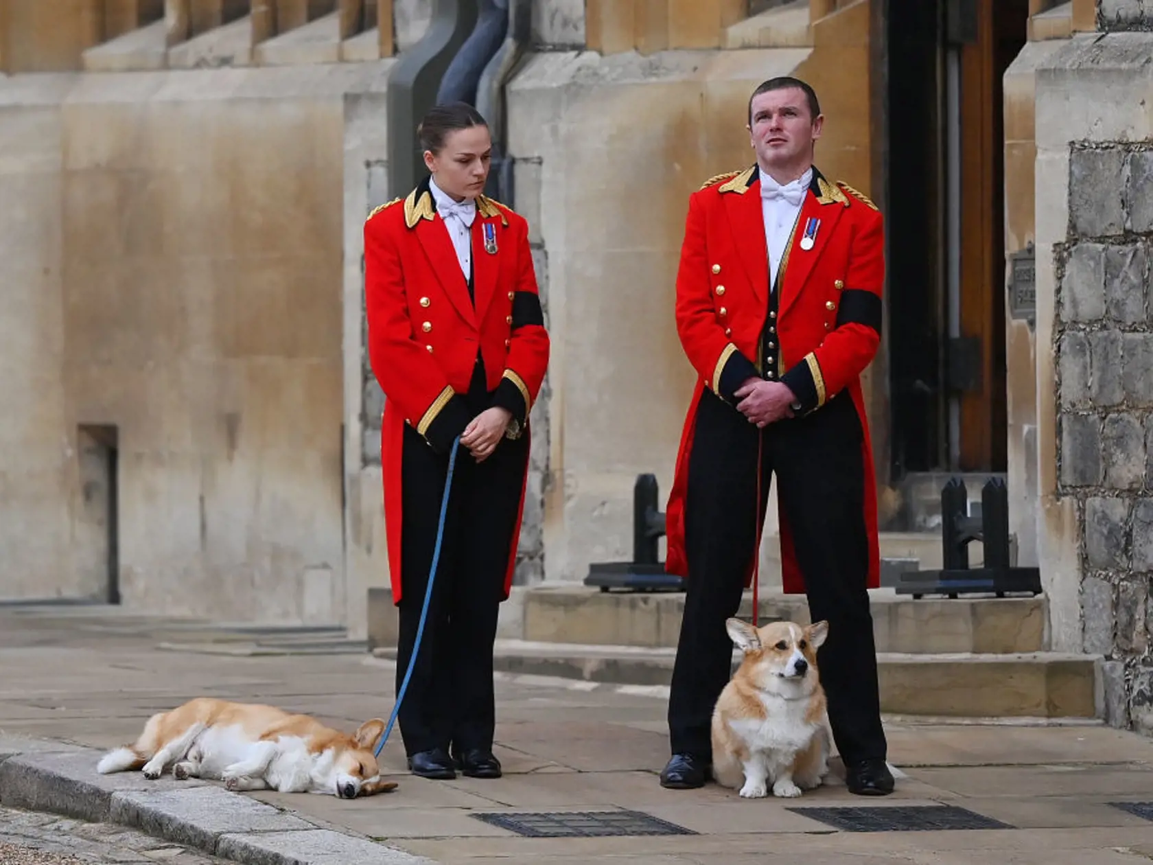 Na snímke psi plemena corgi Muick a Sandy čakajú na rakvu s pozostatkami zosnulej britskej kráľovnej Alžbety II. v pondelok 19. septembra 2022 na hrade Windsor.  Muick a Sandy sú poslední psi z radu viac ako 30 corgiov, ktoré kráľovná za života vlastnila. Obrad rozžehnania sa s telom kráľovnej Alžbety II. sa uskutočnil vo windsorskej Kaplnke sv. Juraja. Tam panovníčku v rámci súkromného obradu aj pochovali po boku jej manžela princa Philipa.
