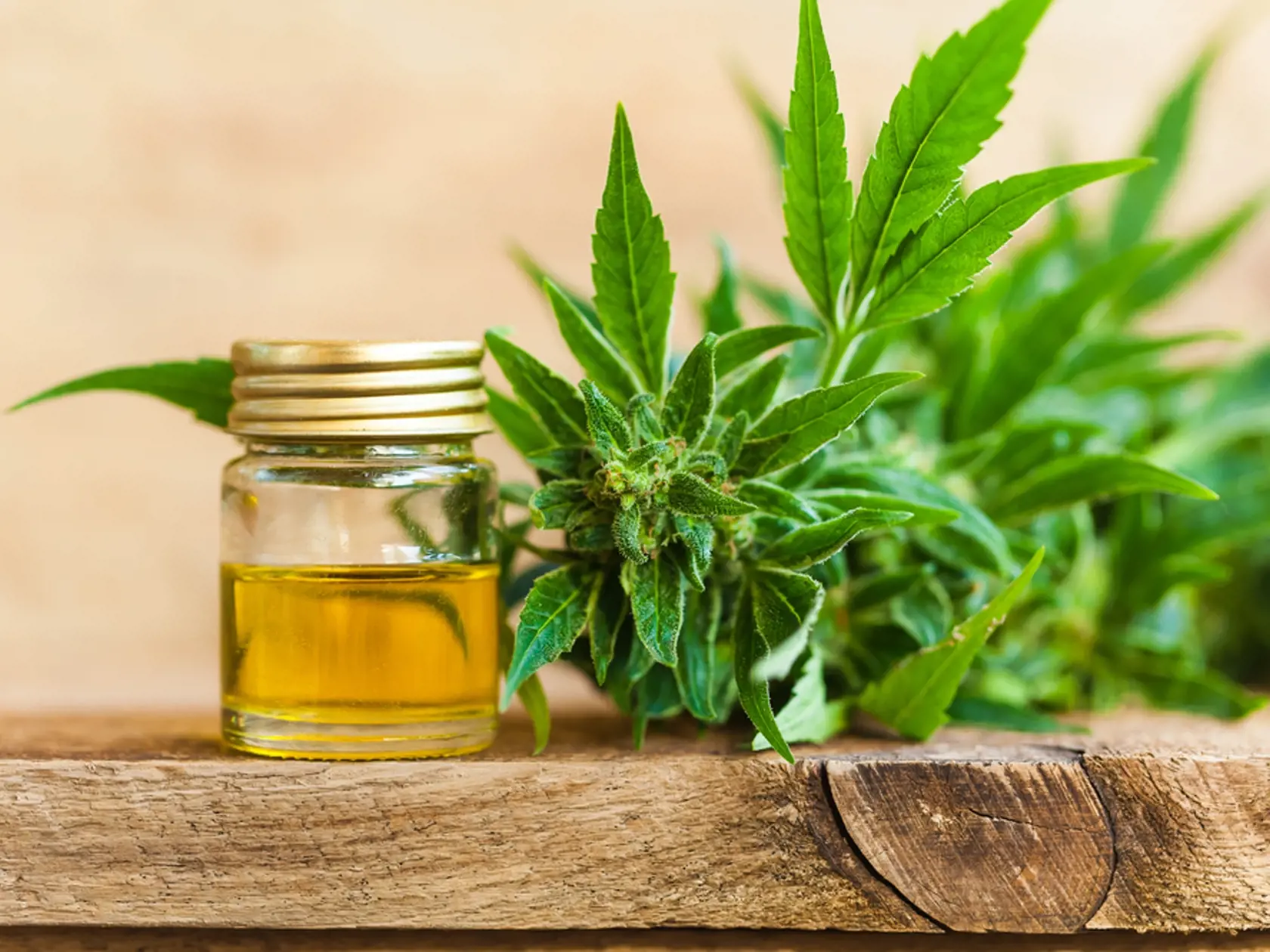Cbd,Oil,Hemp,Products