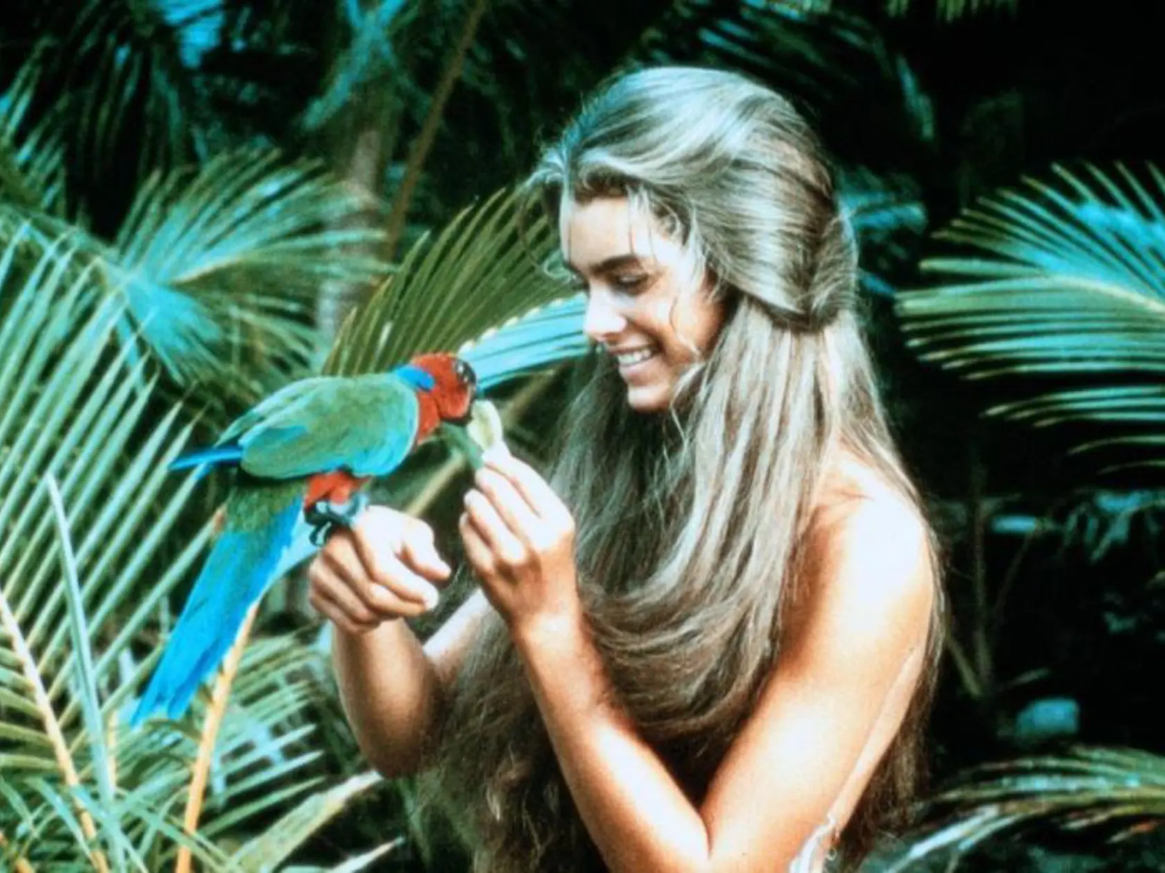 Film "Modrá lagúna" z roku 1980 je bohatý na zaujímavosti z natáčania a produkcie.