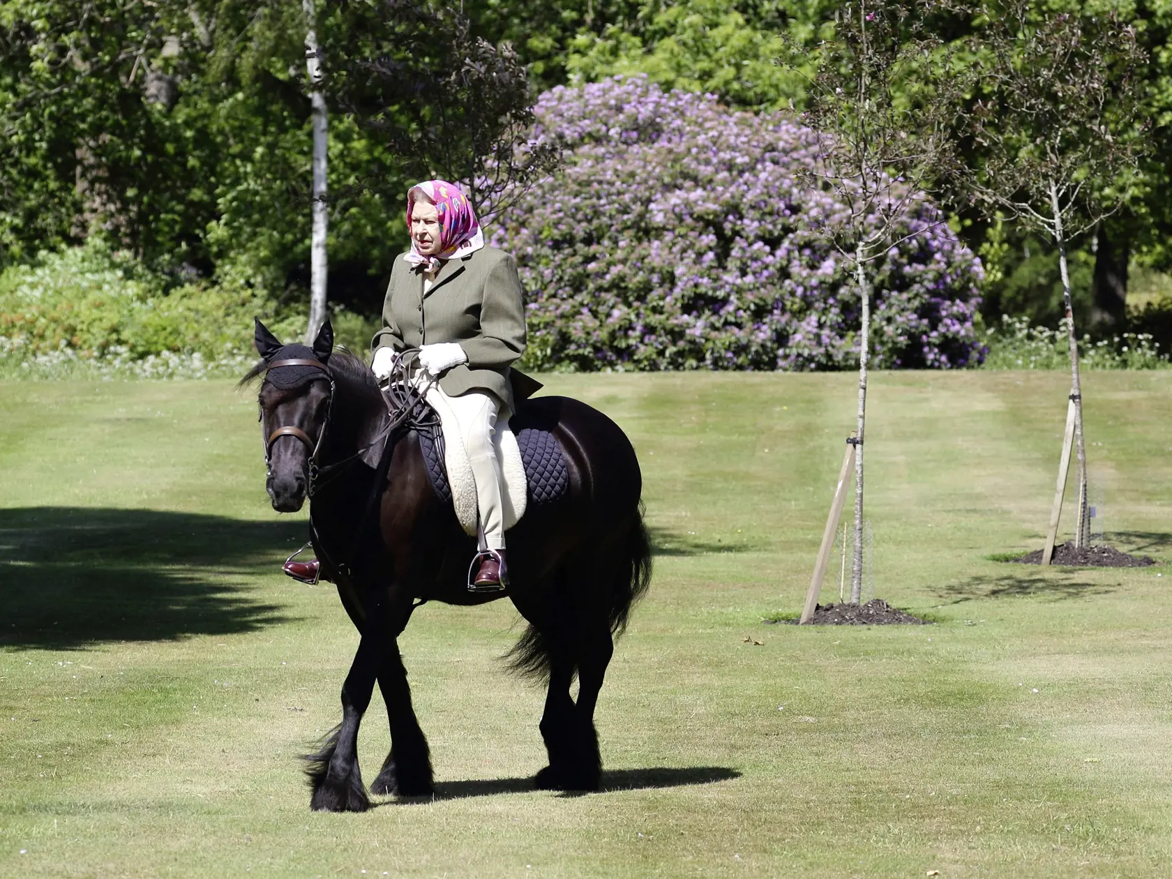 WINDSOR, ENGLAND - MAY: Issue date: Sunday May 31, Queen Elizabeth II rides Balmoral Fern, a 14-year-old Fell Pony, in Windsor Home Park over the weekend of May 30 and May 31, 2020 in Windsor, England. The Queen has been in residence at Windsor Castle during the coronavirus pandemic. (Photo by Steve Parsons - WPA Pool/Getty Images)