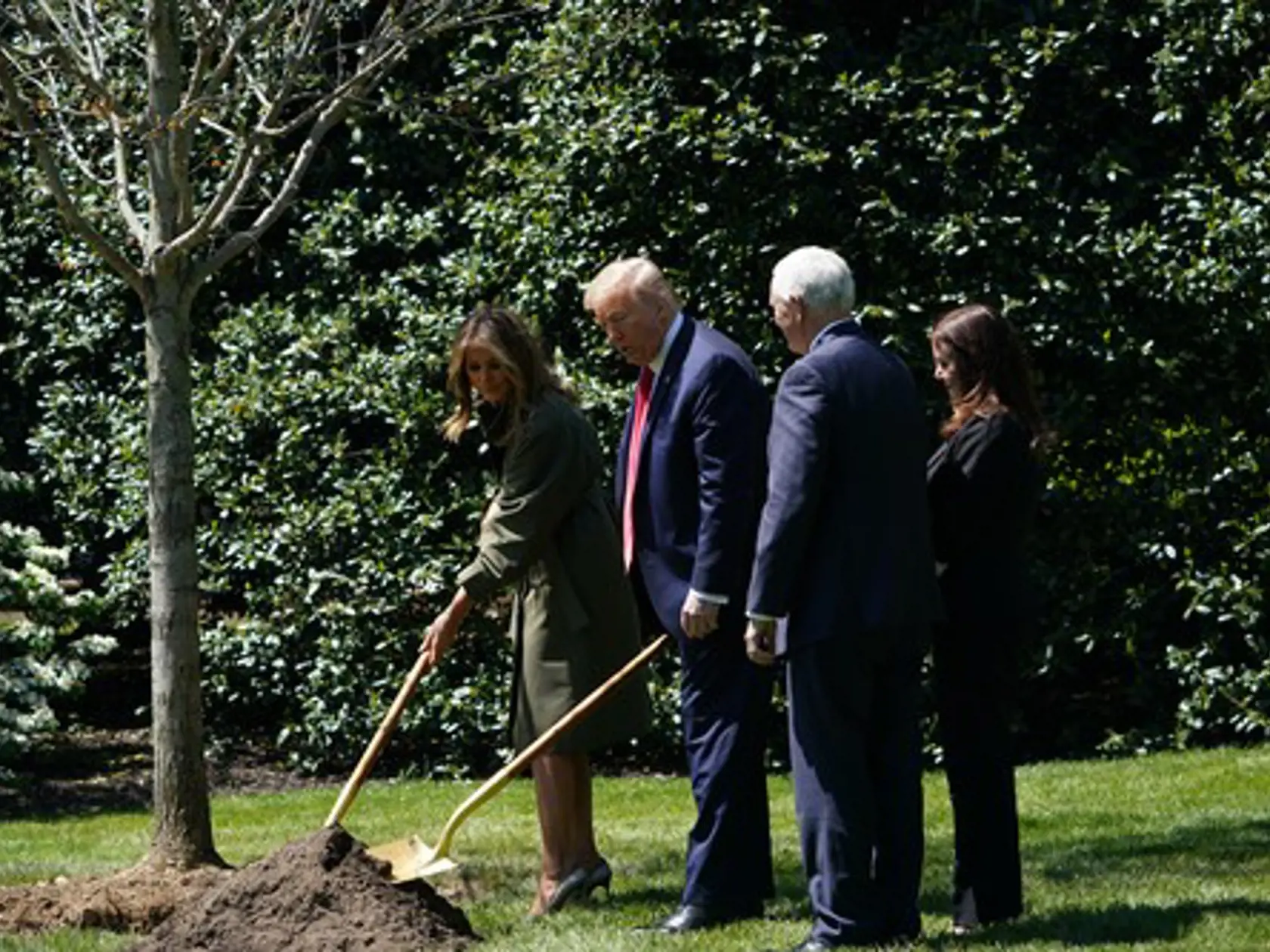 Melania Trump sadila v záhradách Bieleho domu stromčeky.