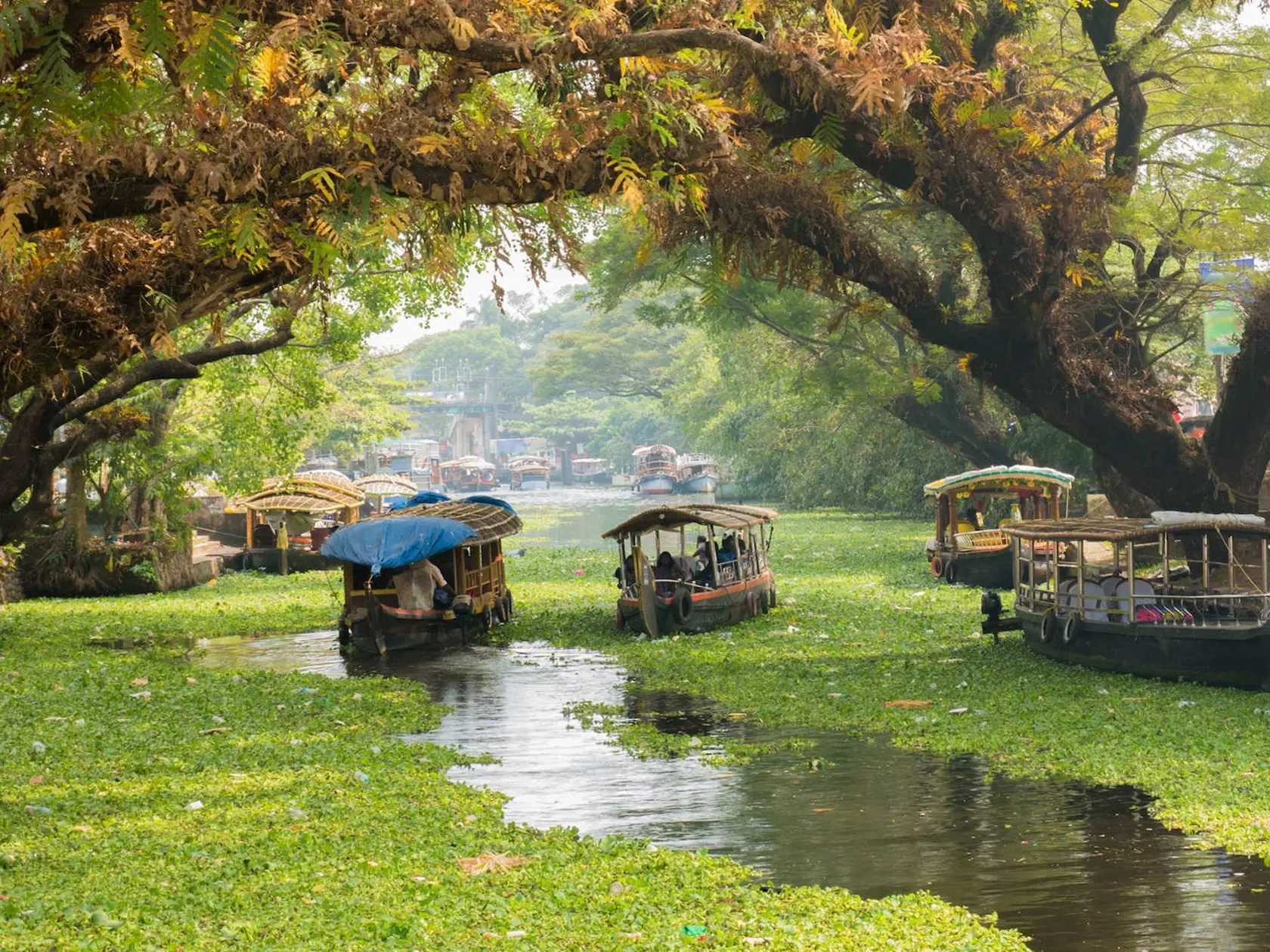 Alappuzha, India.