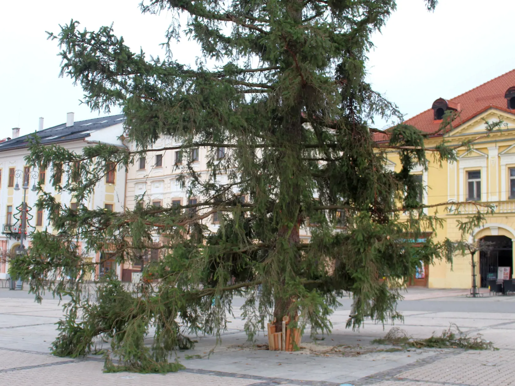 Stromček v krajskom meste vyzerá ako metla