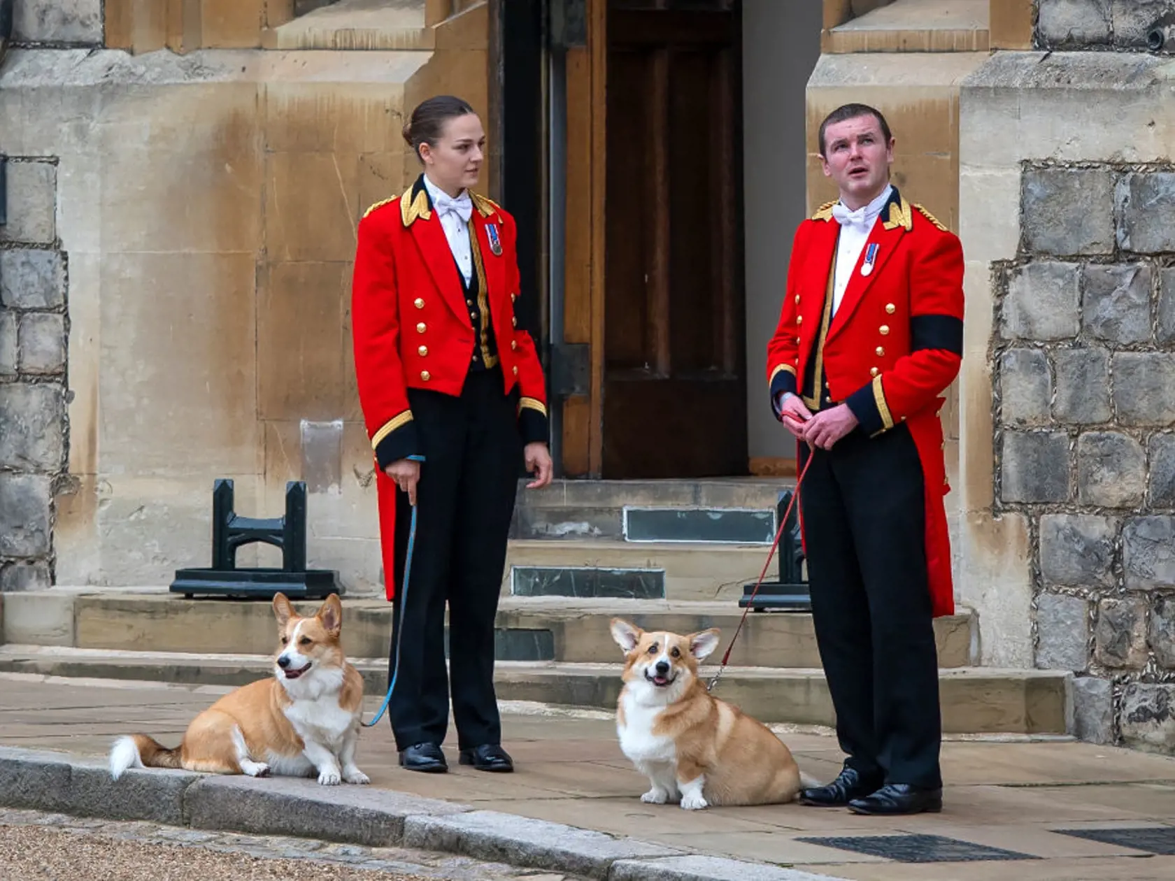 Na snímke psi plemena corgi Muick a Sandy čakajú na rakvu s pozostatkami zosnulej britskej kráľovnej Alžbety II. v pondelok 19. septembra 2022 na hrade Windsor.  Muick a Sandy sú poslední psi z radu viac ako 30 corgiov, ktoré kráľovná za života vlastnila. Obrad rozžehnania sa s telom kráľovnej Alžbety II. sa uskutočnil vo windsorskej Kaplnke sv. Juraja. Tam panovníčku v rámci súkromného obradu aj pochovali po boku jej manžela princa Philipa.