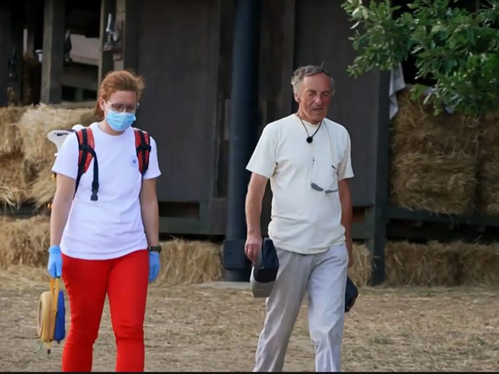 Farma 14