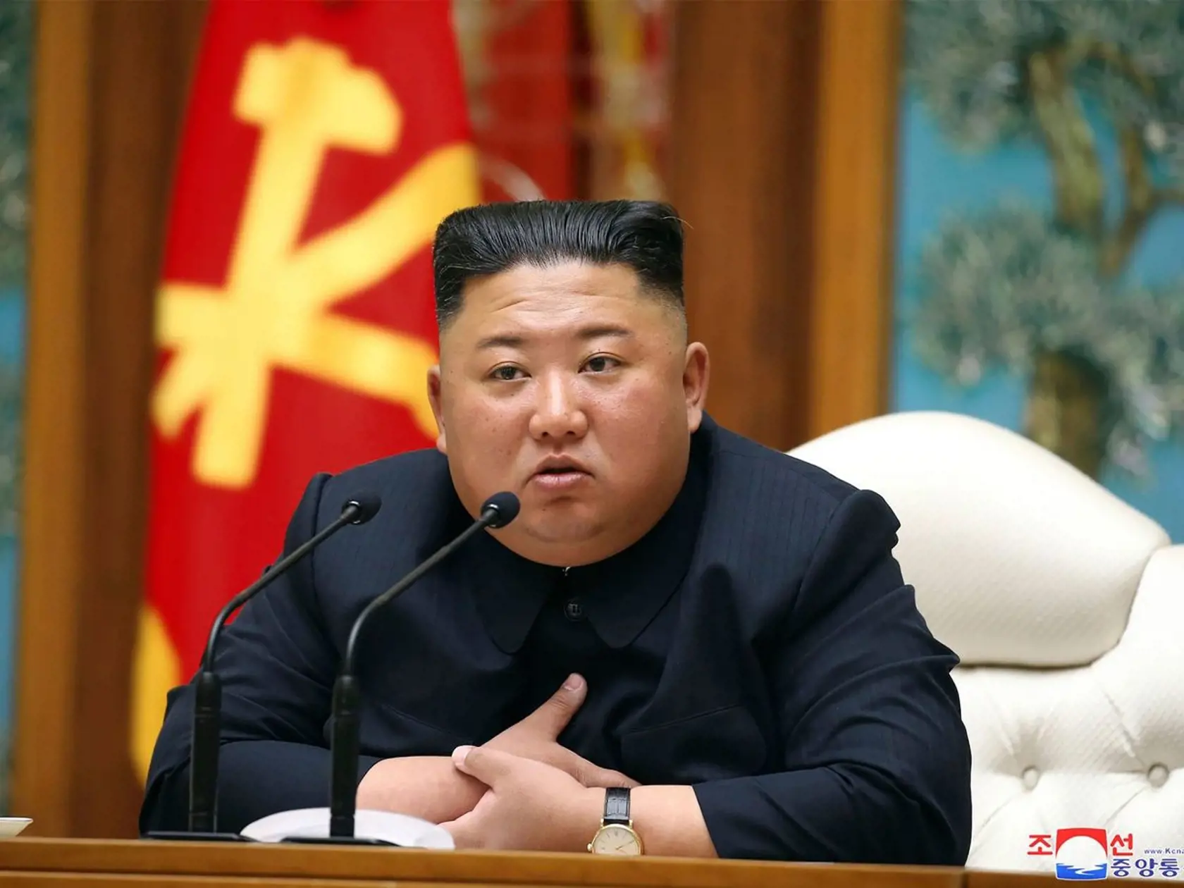 Kam sa podel Kim Čong-un?