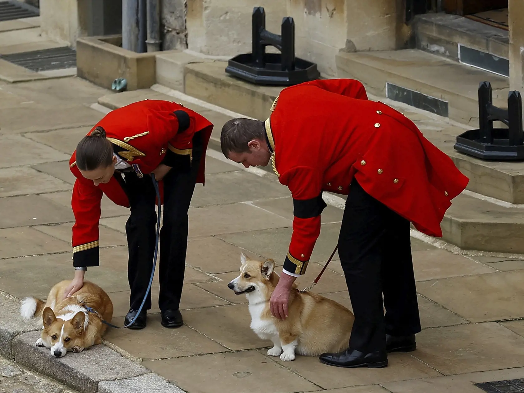 Na snímke psi plemena corgi Muick a Sandy čakajú na rakvu s pozostatkami zosnulej britskej kráľovnej Alžbety II.