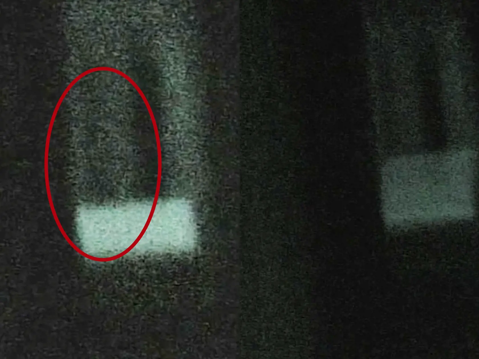 V kaštieli Esterházy zachytili malú postavu chlapca s kapucňou. Niekoľkokrát sa ozval aj na spiritbox. V kaštieli mal mať aj psa, ktorého oslovoval Viera. Vpravo na jednom zábere sa zjavil a o pár sekúnd zmizol.