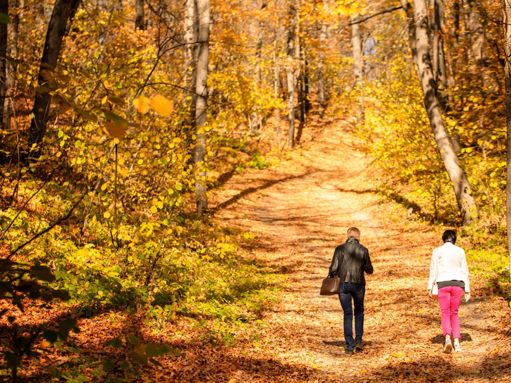 Young,Couple,Walking,In,The,Autumn,Park