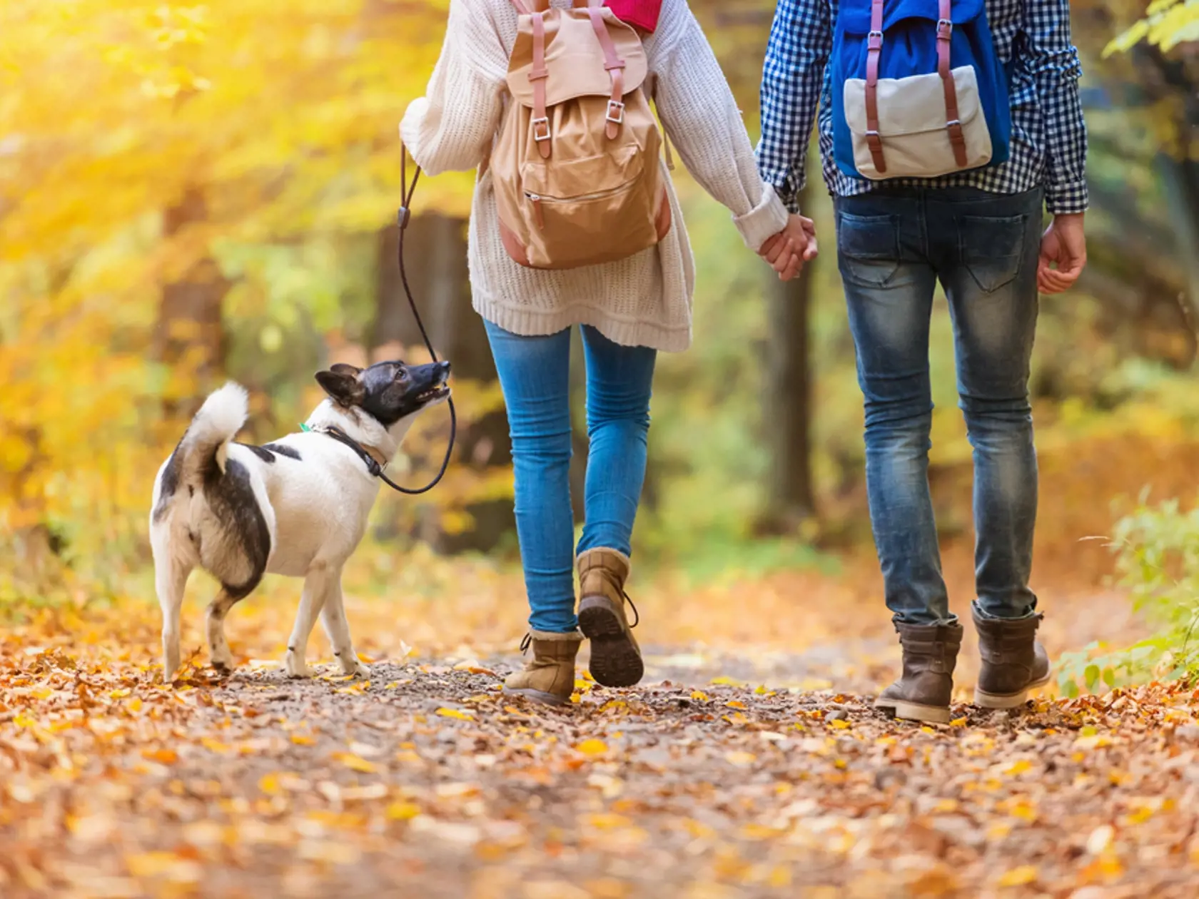 Beautiful,Young,Couple,On,A,Walk,In,Autumn,Forest