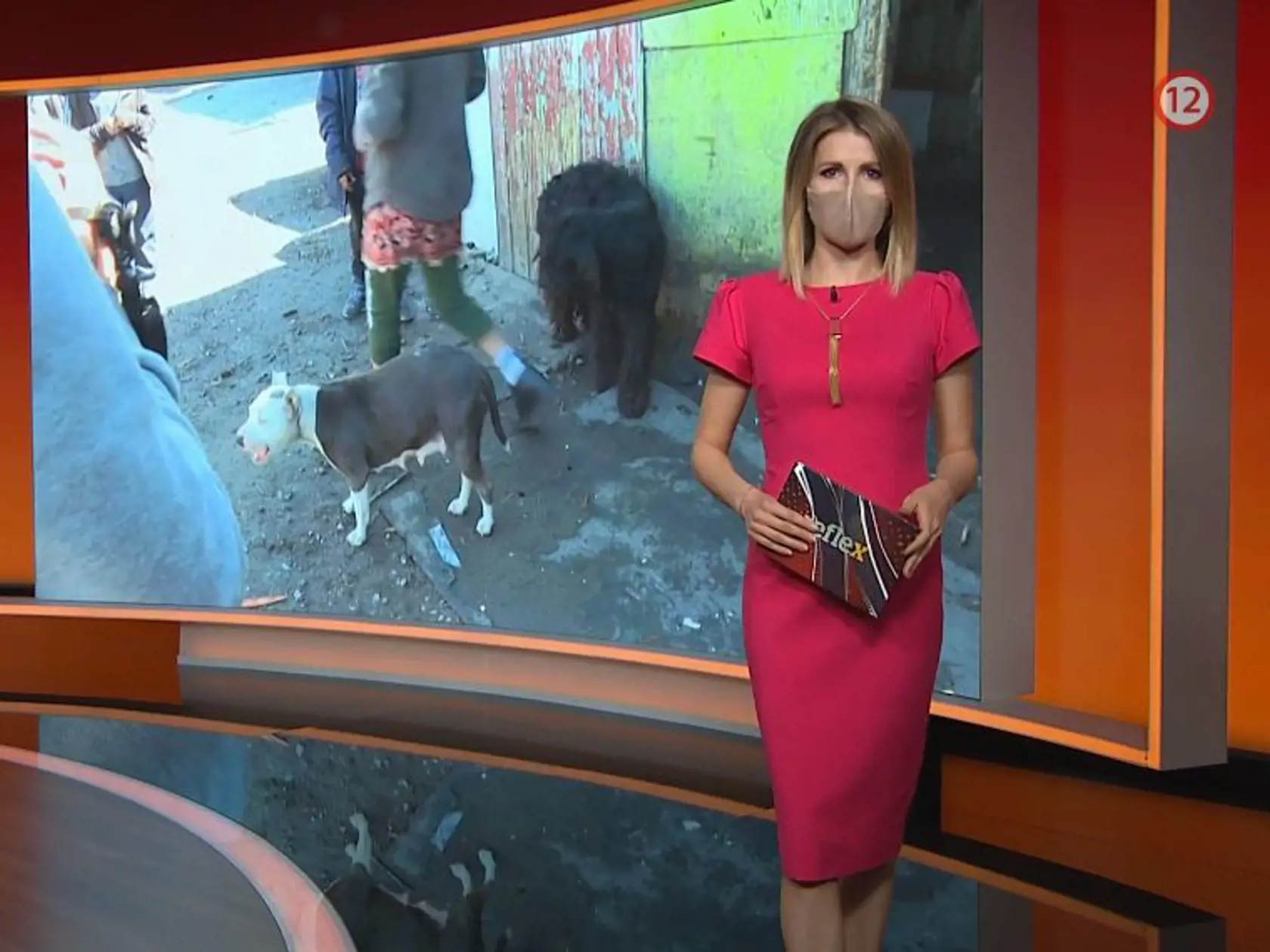 Miriam Kalisová je už pár rokov tvárou Reflexu.