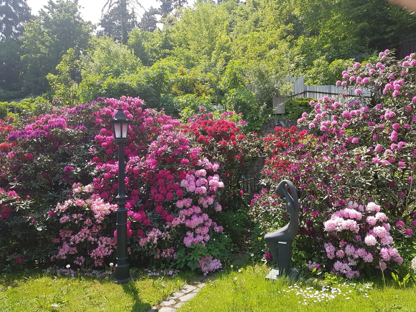 Záhrada v týchto dňoch pripomína farebný koberec.