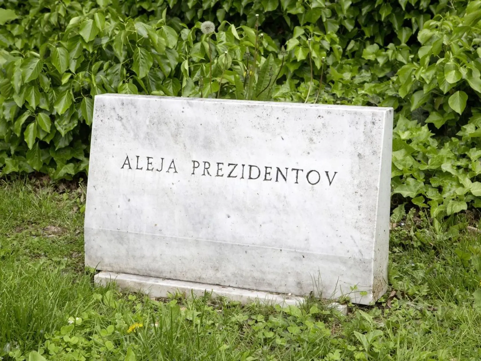 Aleja prezidentov.