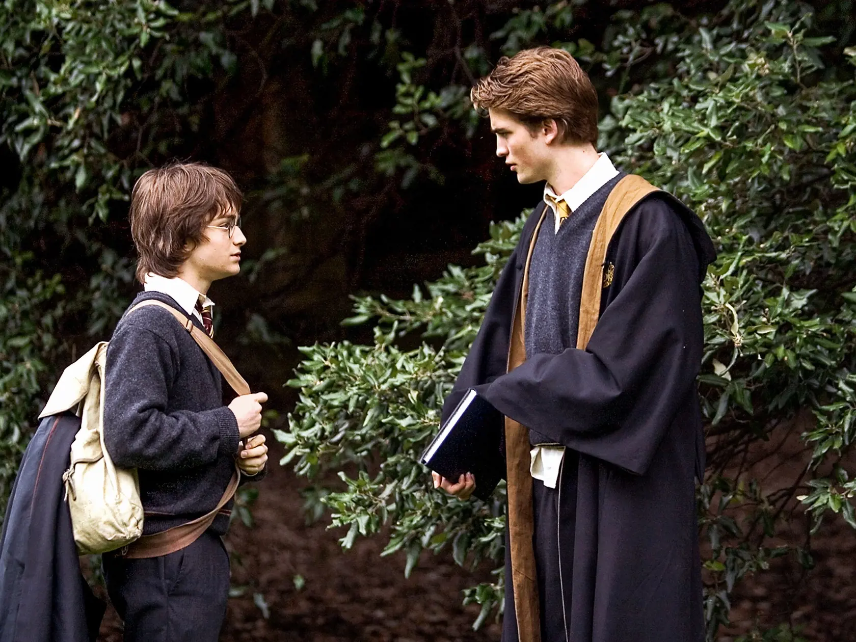 Harry Potter - Harry a Cedric