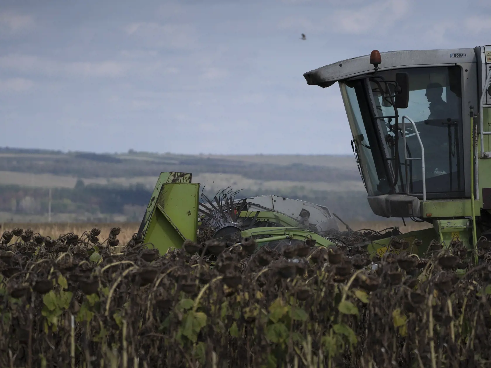 PK 14 Doneck - Na snímke vodič kombajnu riadi kombajn počas žatvy na slnečnicovom poli v doneckom regióne na východe Ukrajiny 9. septembra 2022. FOTO TASR/AP

A worker drives his tractors during the sunflowers harvesting on a field in Donetsk region, eastern Ukraine, Friday, Sept. 9, 2022. (AP Photo/Leo Correa)