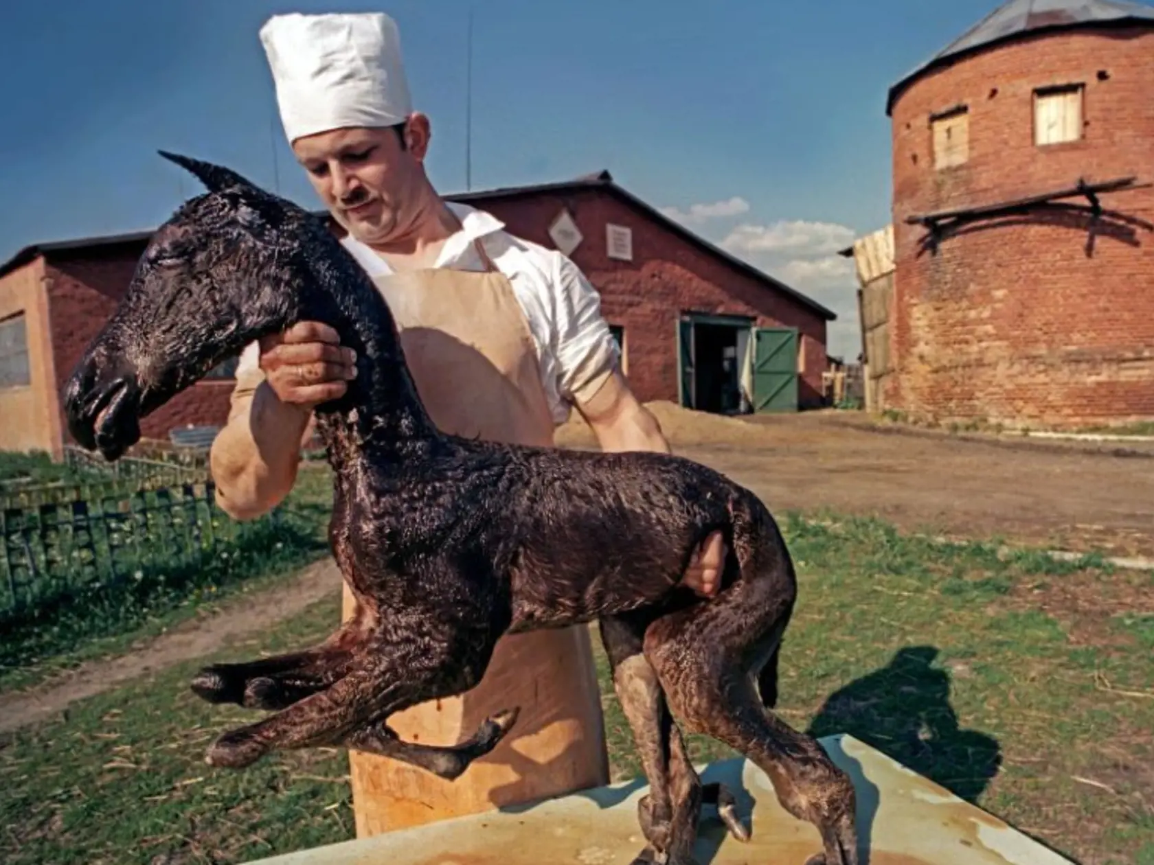 Jedna z najznámejších fotografií, ktorá obletela svet.