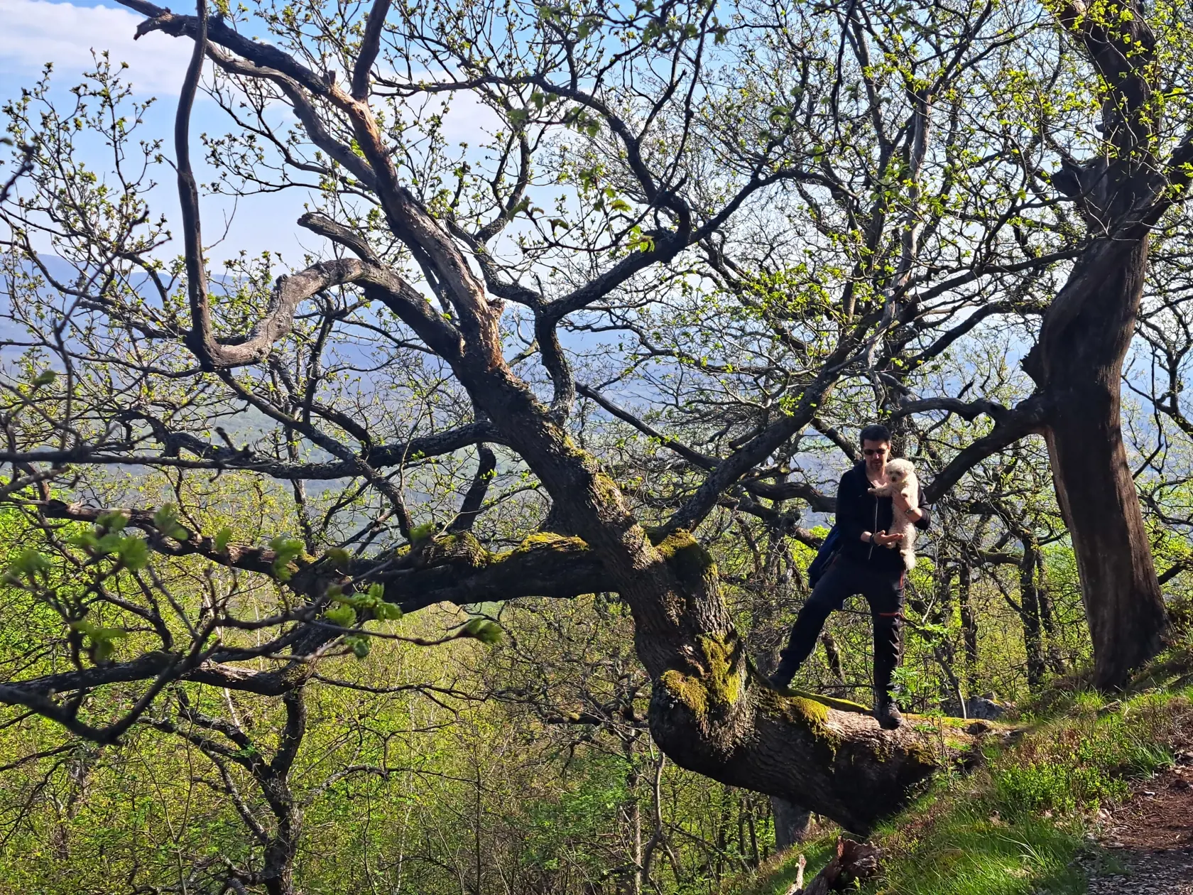 V pohorí Tribeč sa už nevysvetliteľne stratilo niekoľko ľudí.