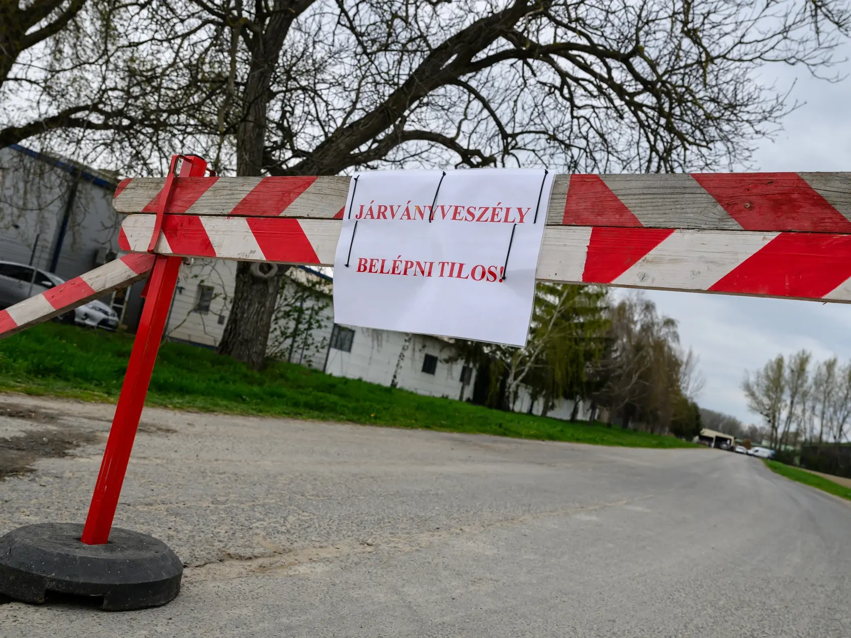 JB 14 Dunakiliti - Na snímke výstražný nápis "Nebezpečenstvo epidémie, zákaz vstupu" na ceste vedúcej do farmy dobytka v karanténe v Dunakiliti, na severozápade Maďarska 2. apríla 2025. V Maďarsku sa potvrdili ďalšie dve ohniská slintačky a krívačky (SLAK), a to v obciach Dunakiliti a Darnózseli. Uviedol to pred stredajším rokovaním vlády minister pôdohospodárstva a rozvoja vidieka SR Richard Takáč (Smer-SD). Farmy majú podľa neho 2500 a 1000 kusov dojníc. Nové ohniská sú podľa neho v rozmedzí medzi prvou a druhou maďarskou farmou výskytu ochorenia. FOTO TASR/DUNA/MTI/Tamas Vasvari 

A warning sign that reads „Danger of epidemic. No entry” is displayed on a road leading to a quarantined cattle farm in Dunakiliti, northwestern Hungary, 02 April 2025. The presence of the foot-and-mouth disease virus has been confirmed at the farm, housing some 2500 stock animals. Dunakiliti is one of the two locations where the highly contagious cattle virus has appeared in Hungary in the past days, the other one is 23 kilometres away in Darnozseli, both found in Gyor-Moson-Sopron county, bordering Slovakia. (MTI/Tamas Vasvari)
