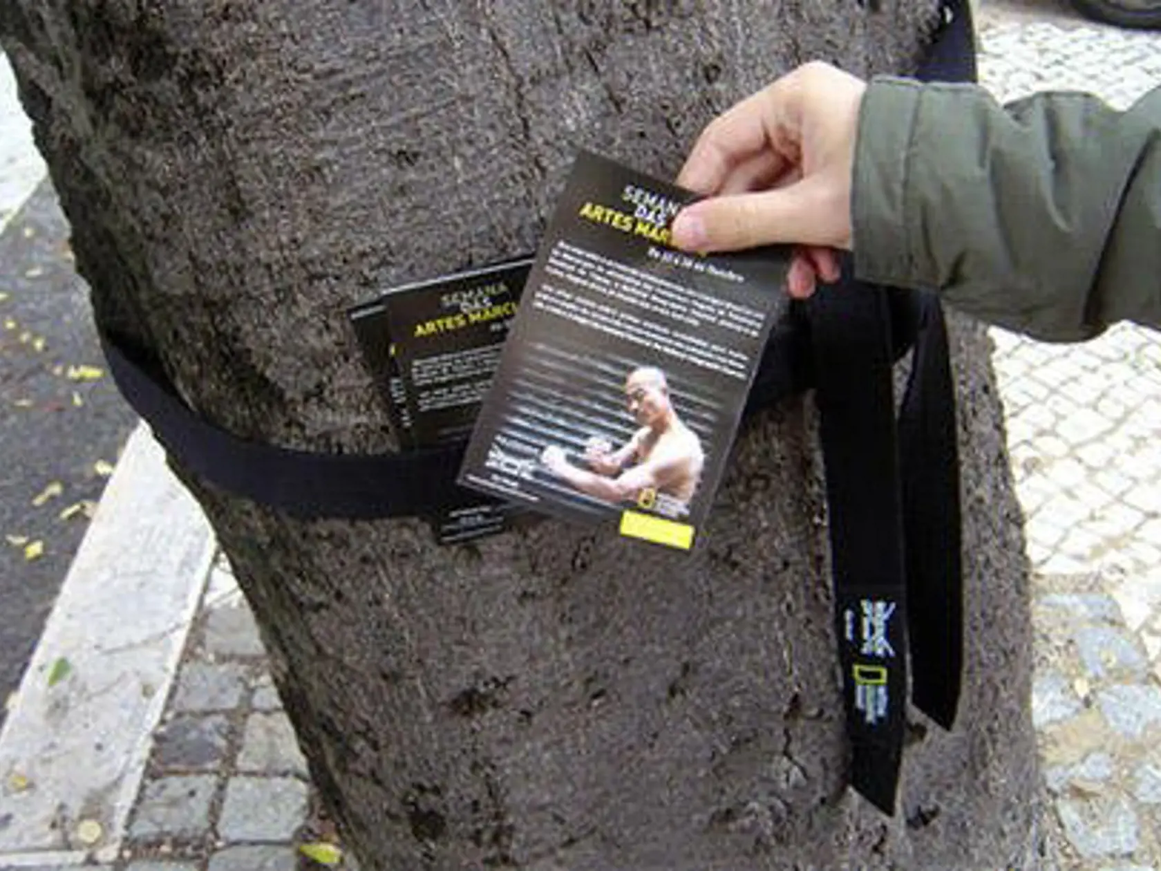Bláznivé reklamy