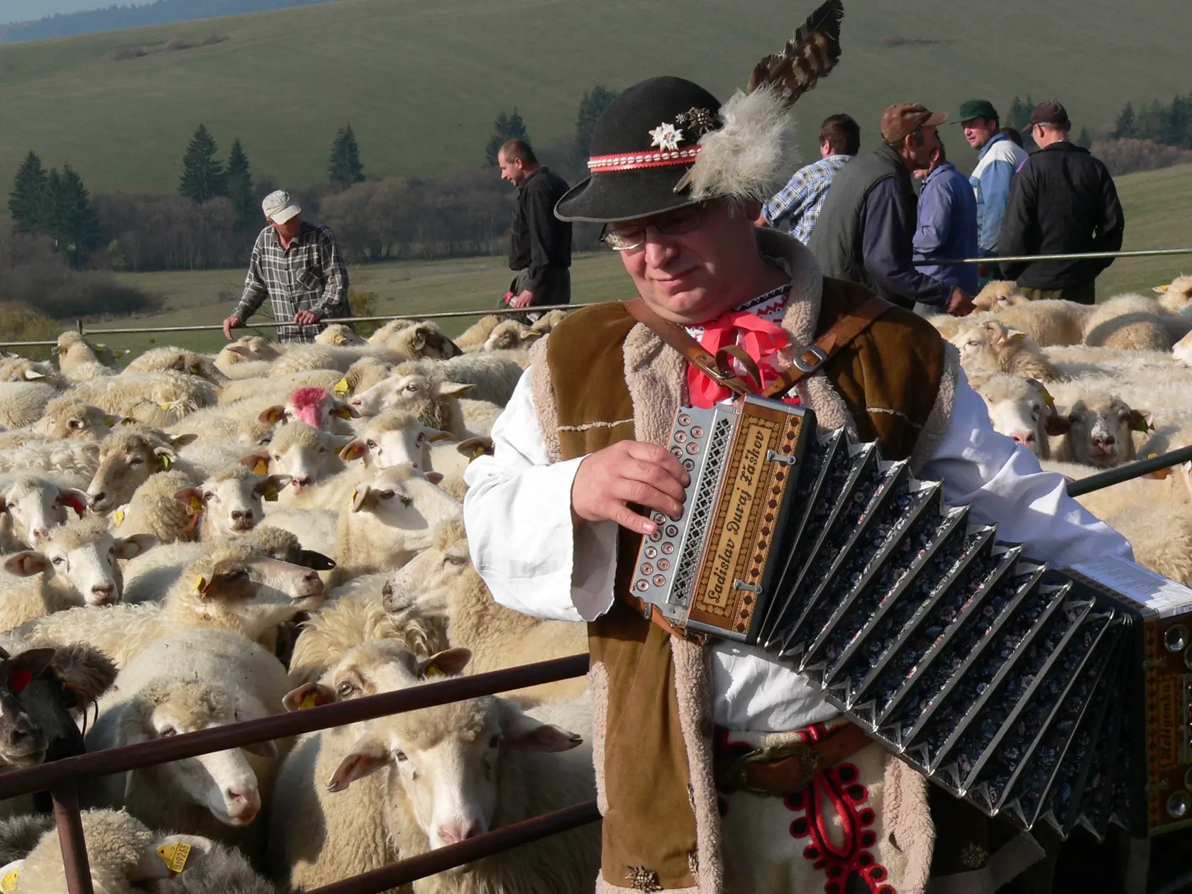 Koncert pre ovečky.