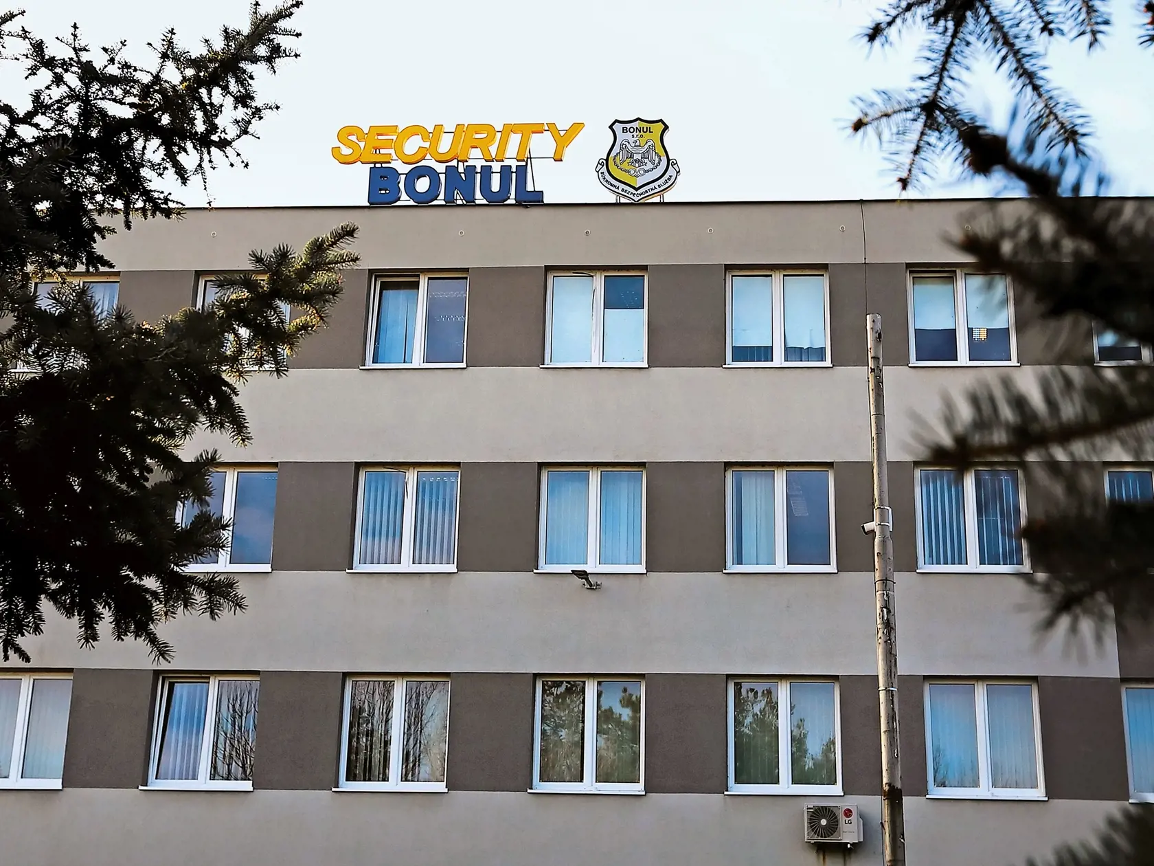Bonul