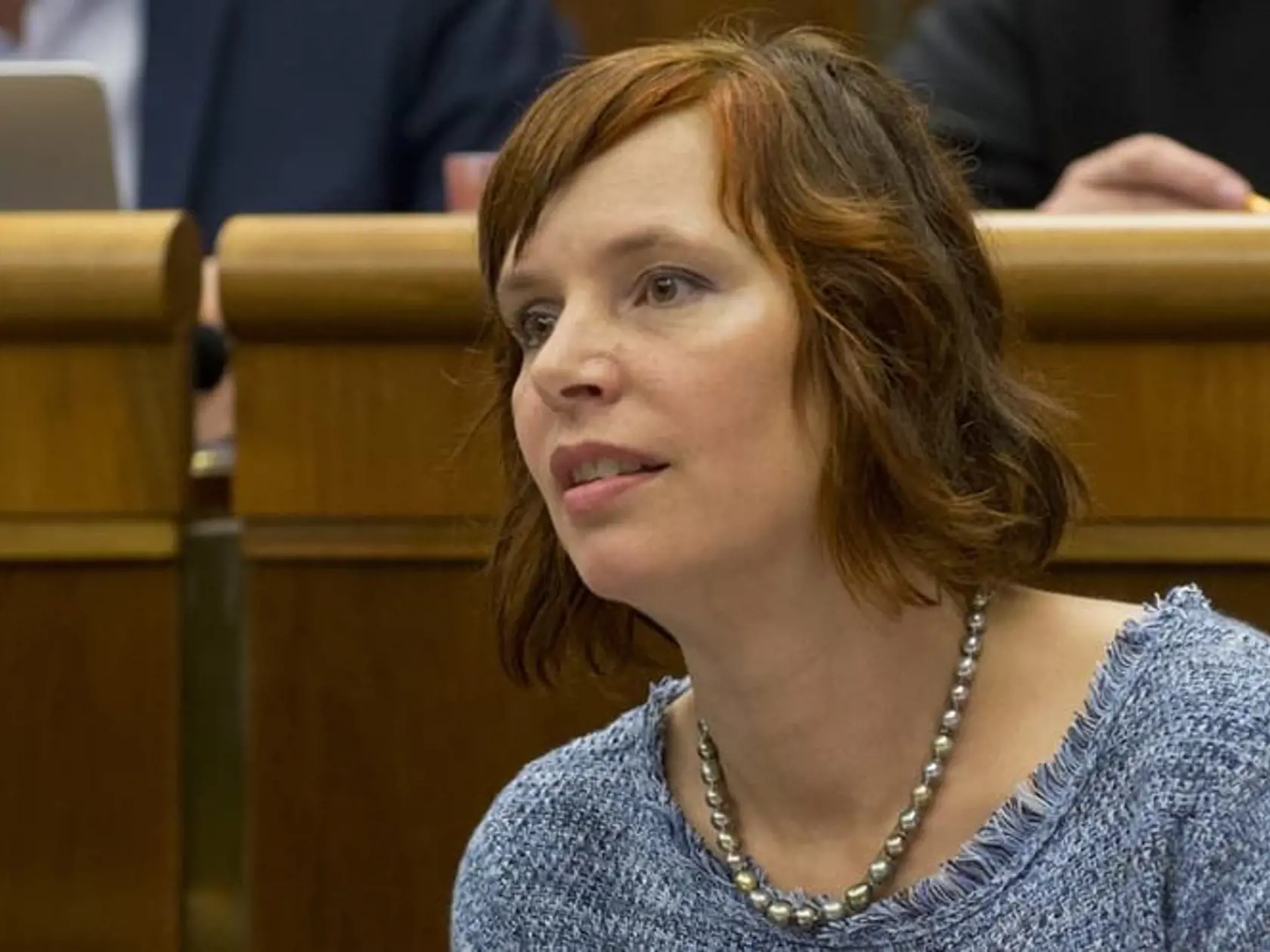 Veronika Remišová pripomína, ako krízu školstva vyriešili Nemci.