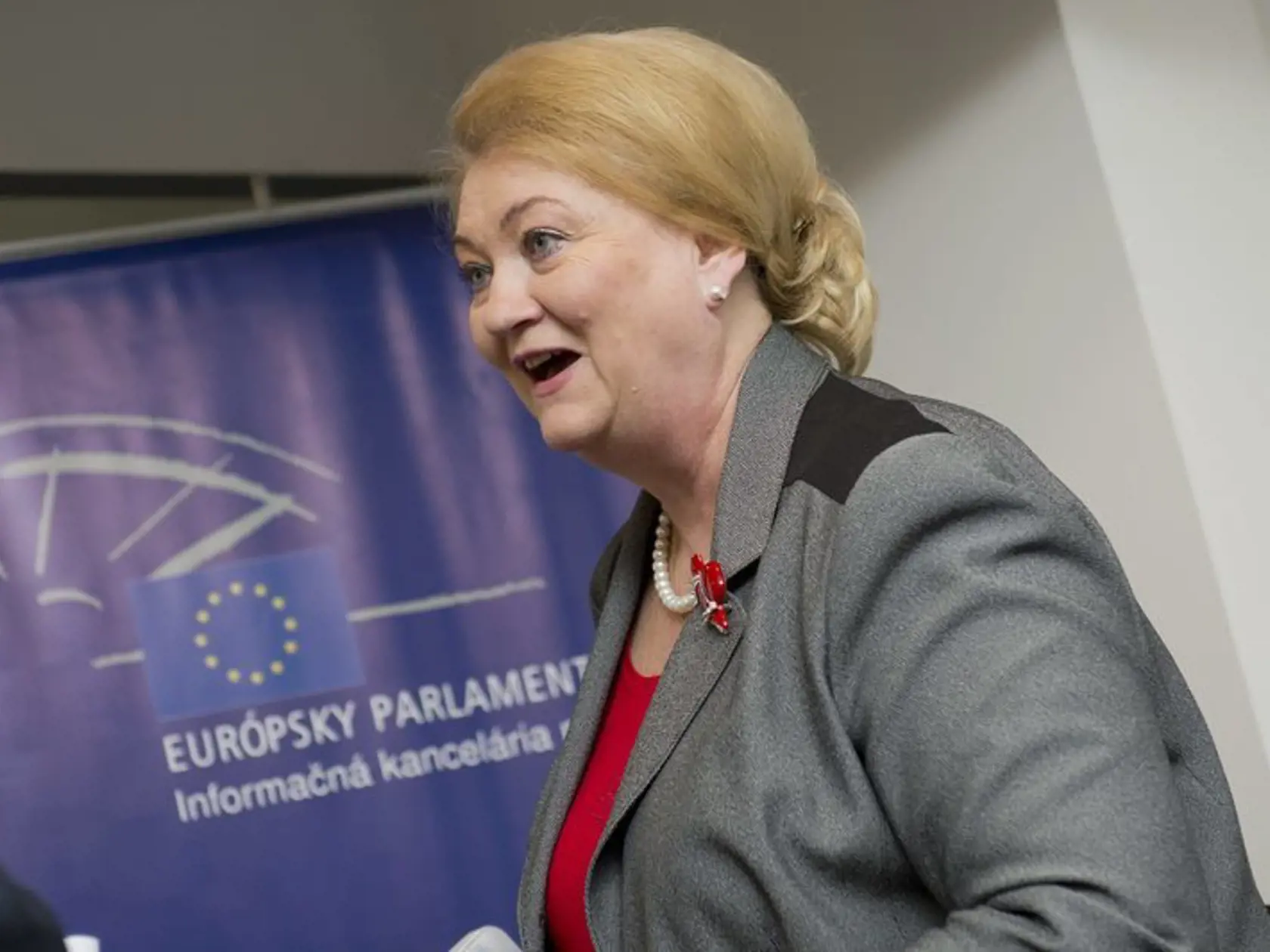 ANNA ZÁBORSKÁ: Slovenská europoslankyňa upozorňuje na problém nového systému hlasovania.